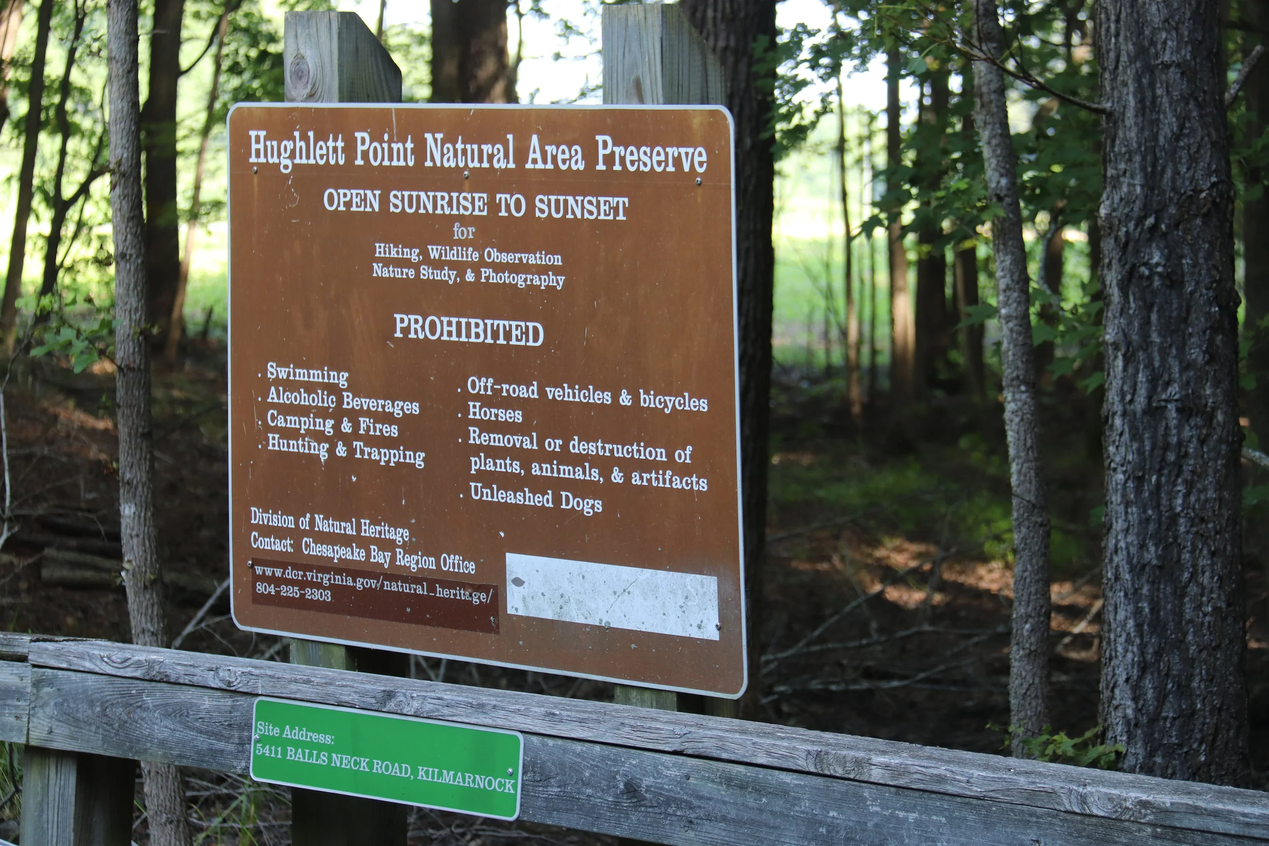 Bird Walk at Hughlett Point NAP in Lancaster County