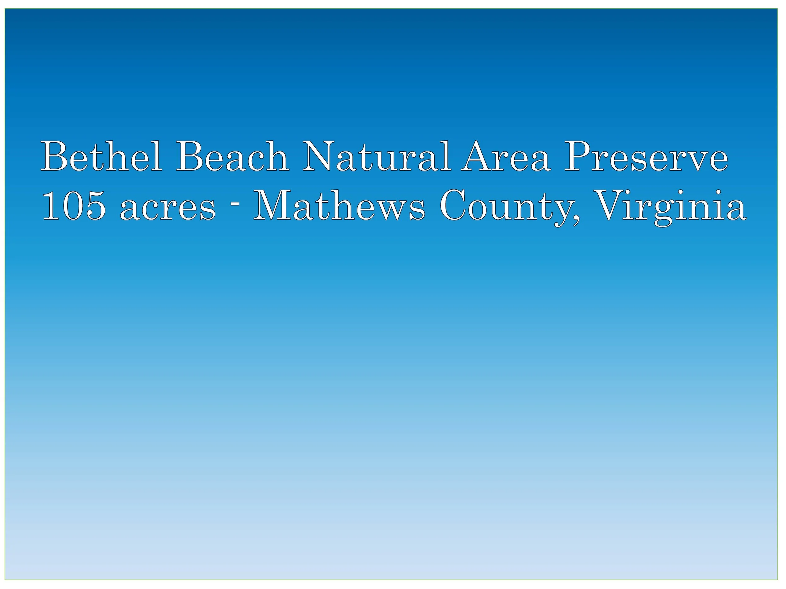 ***cancelled*** Bird Walk at Bethel Beach NAP in Mathews County ***cancelled***