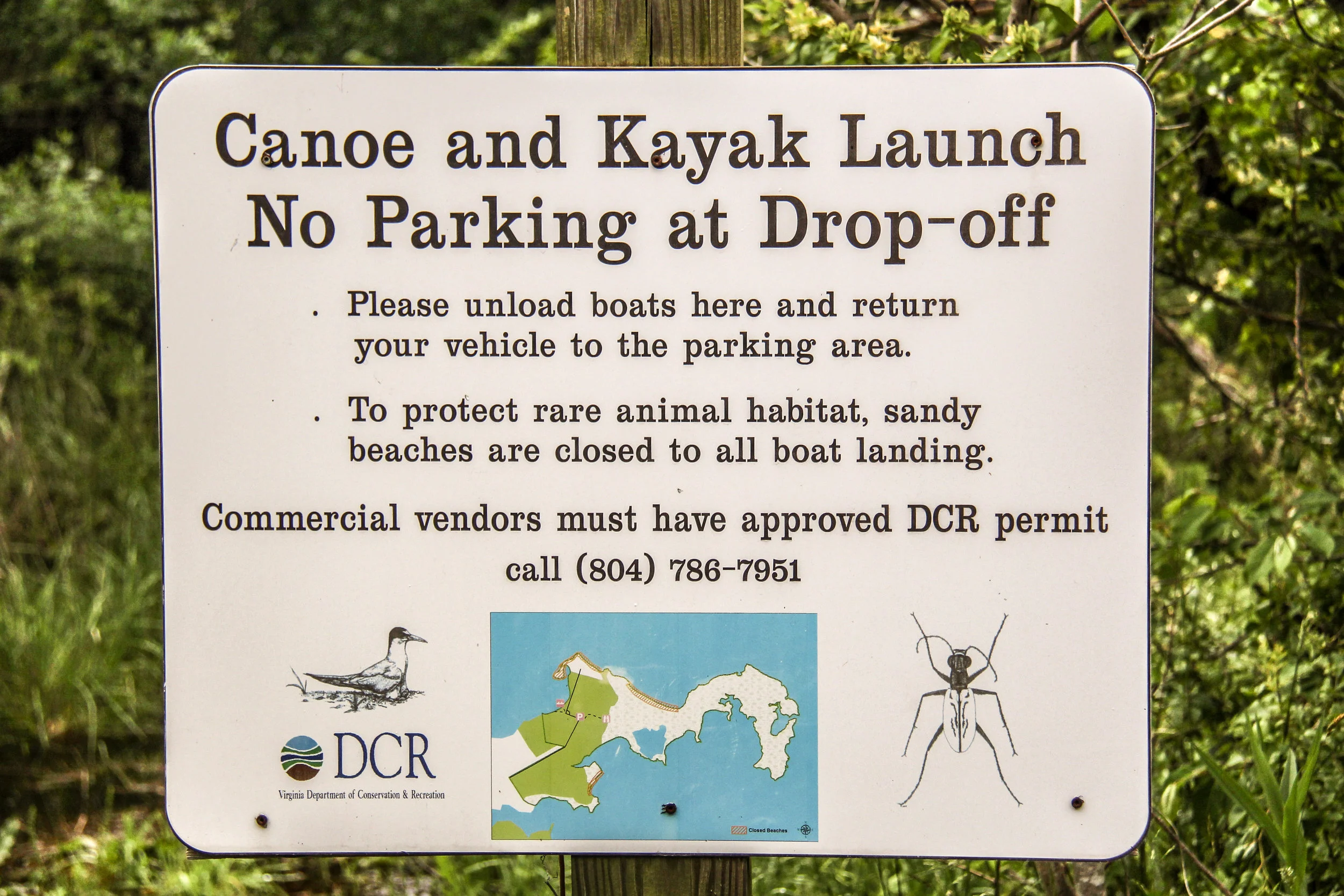 Bird Walk at Dameron Marsh NAP in Northumberland County