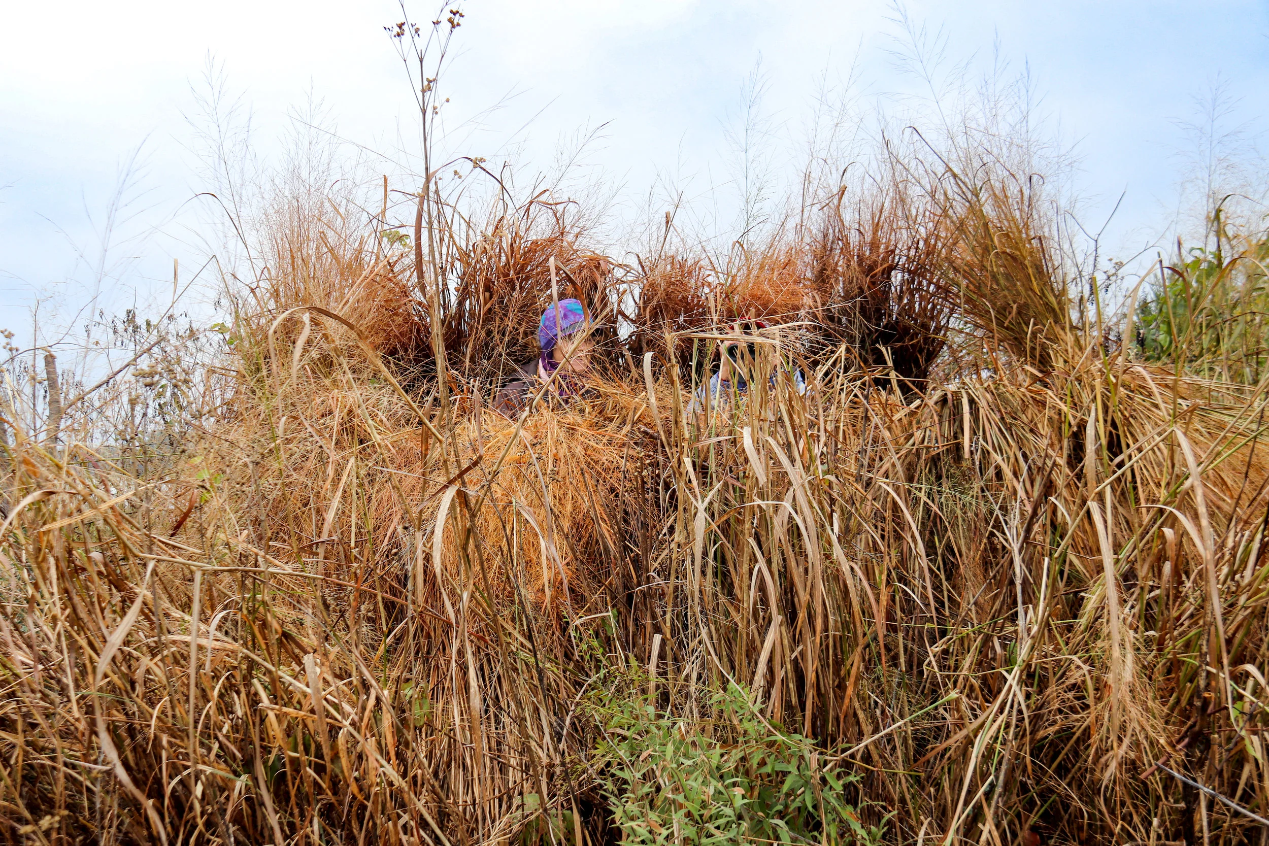 Bird Walk at Kendale Farm in Essex County