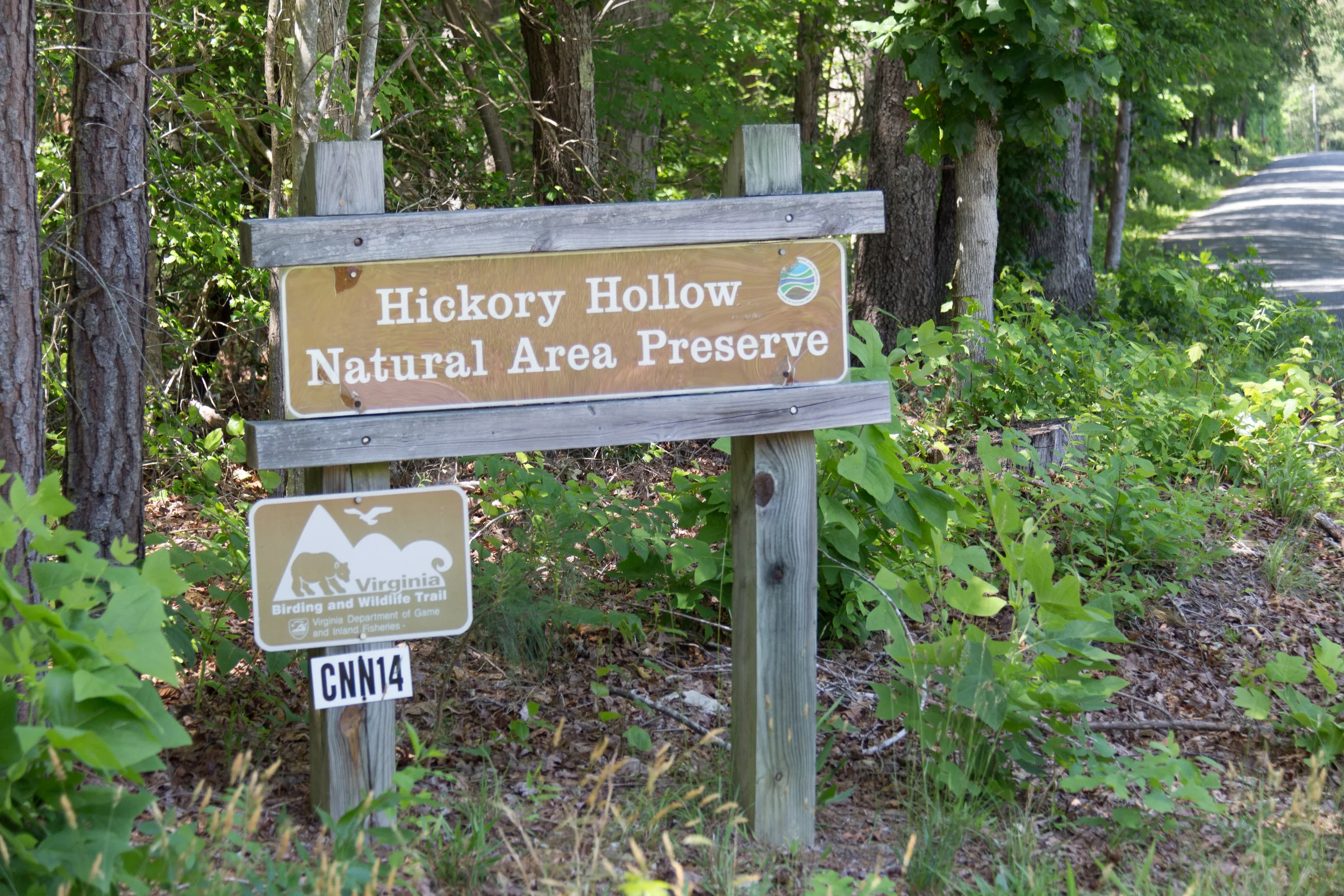 Bird Walk at Hickory Hollow NAP in Lancaster County