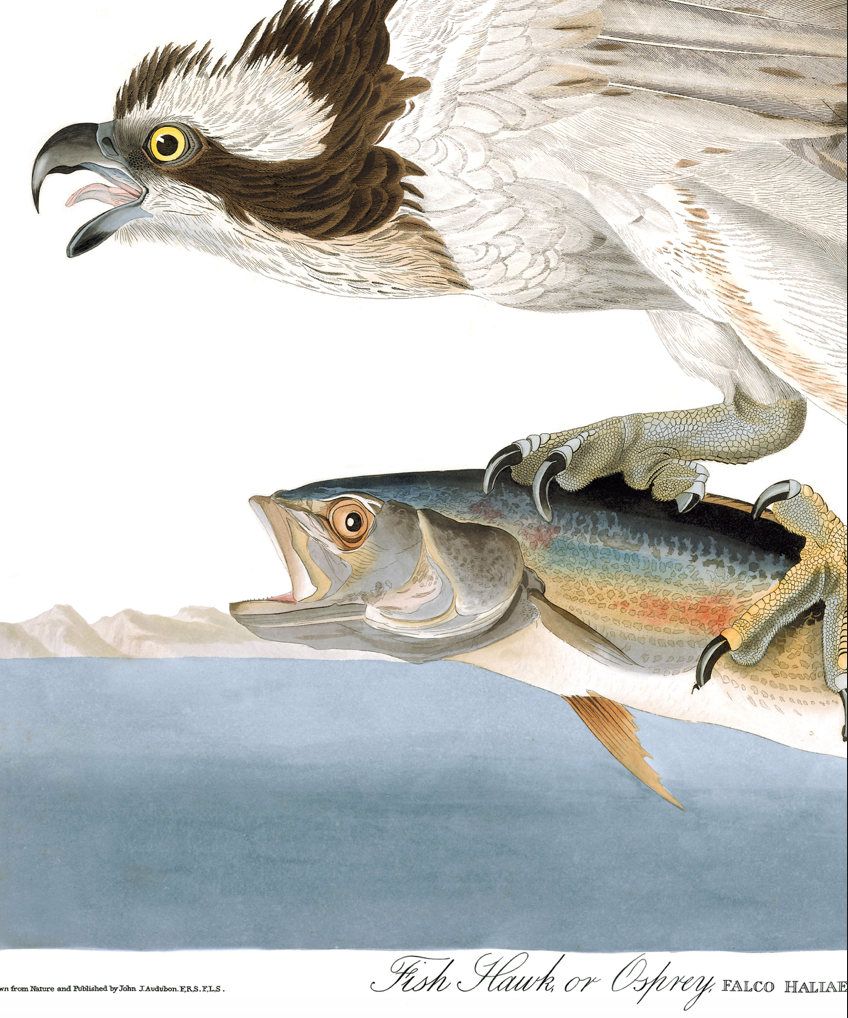 No Membership Meeting in July or August