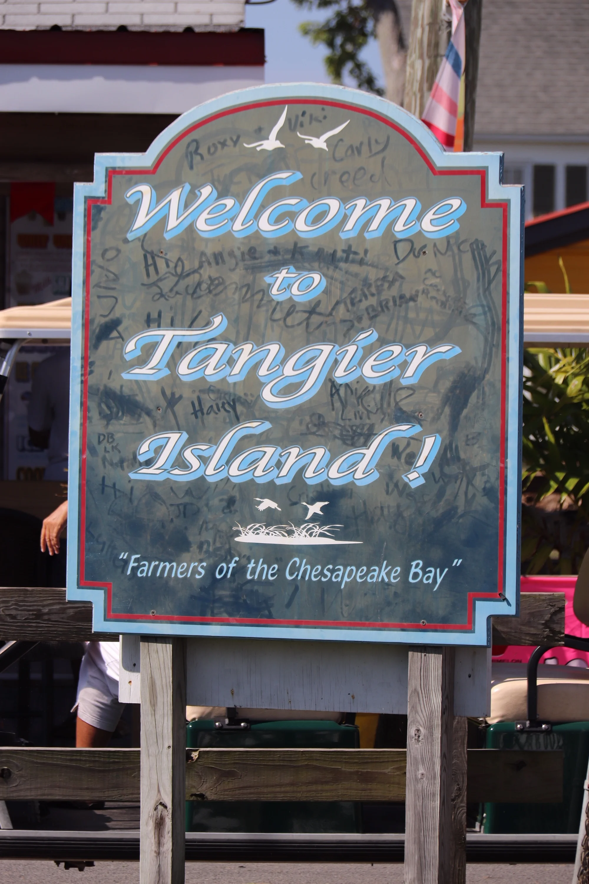 Birdwalk at Tangier Island