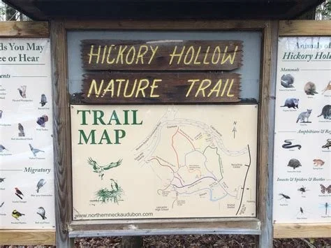 Hickory Hollow Nature Trail Update