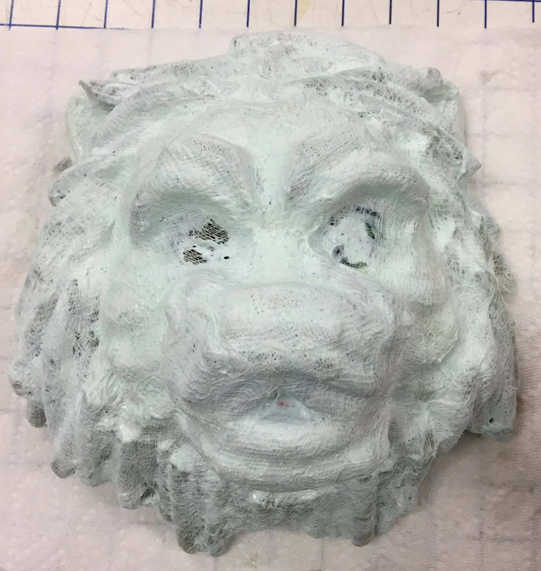 Lion Mask