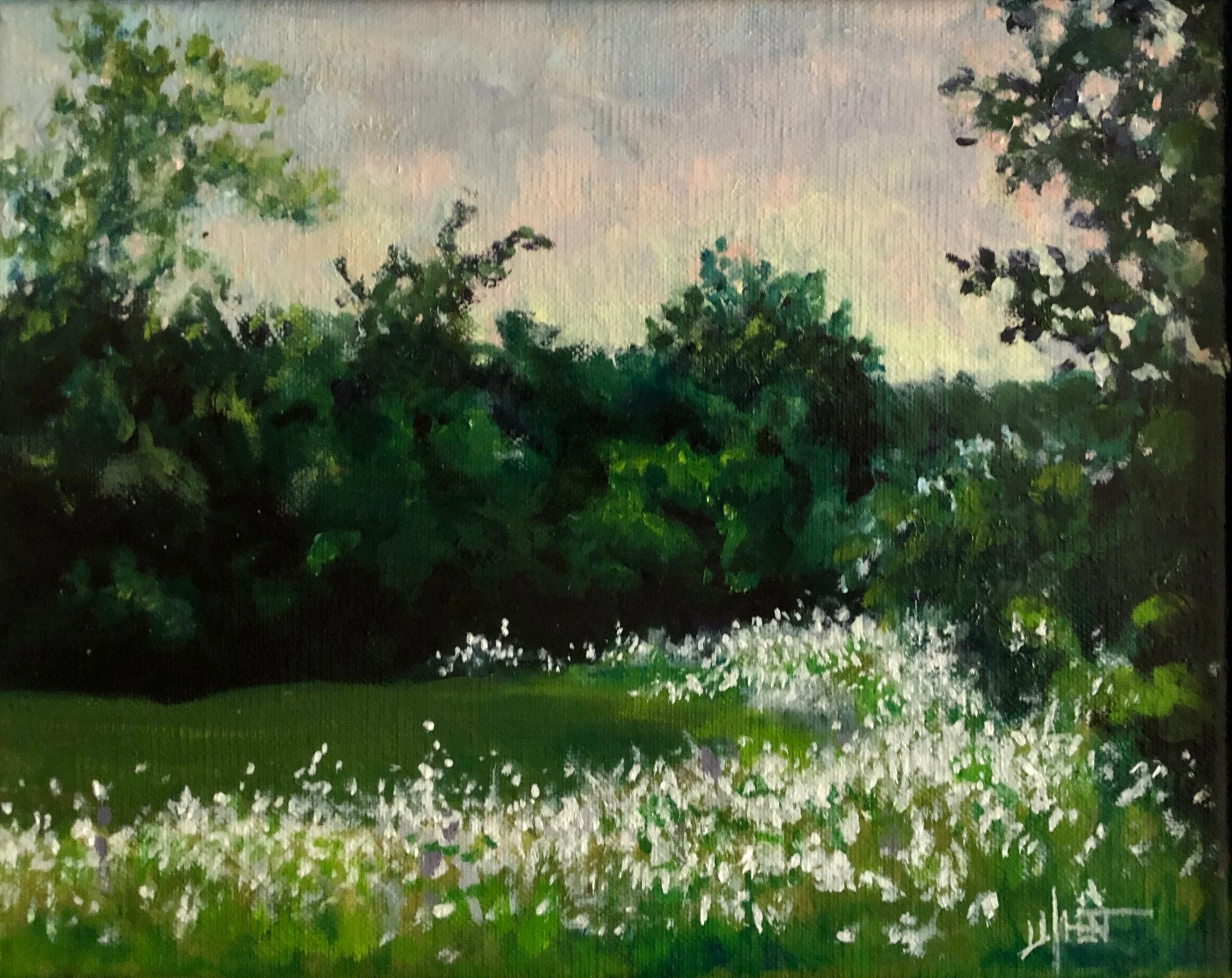 Queen Anne's Lace at Dusk