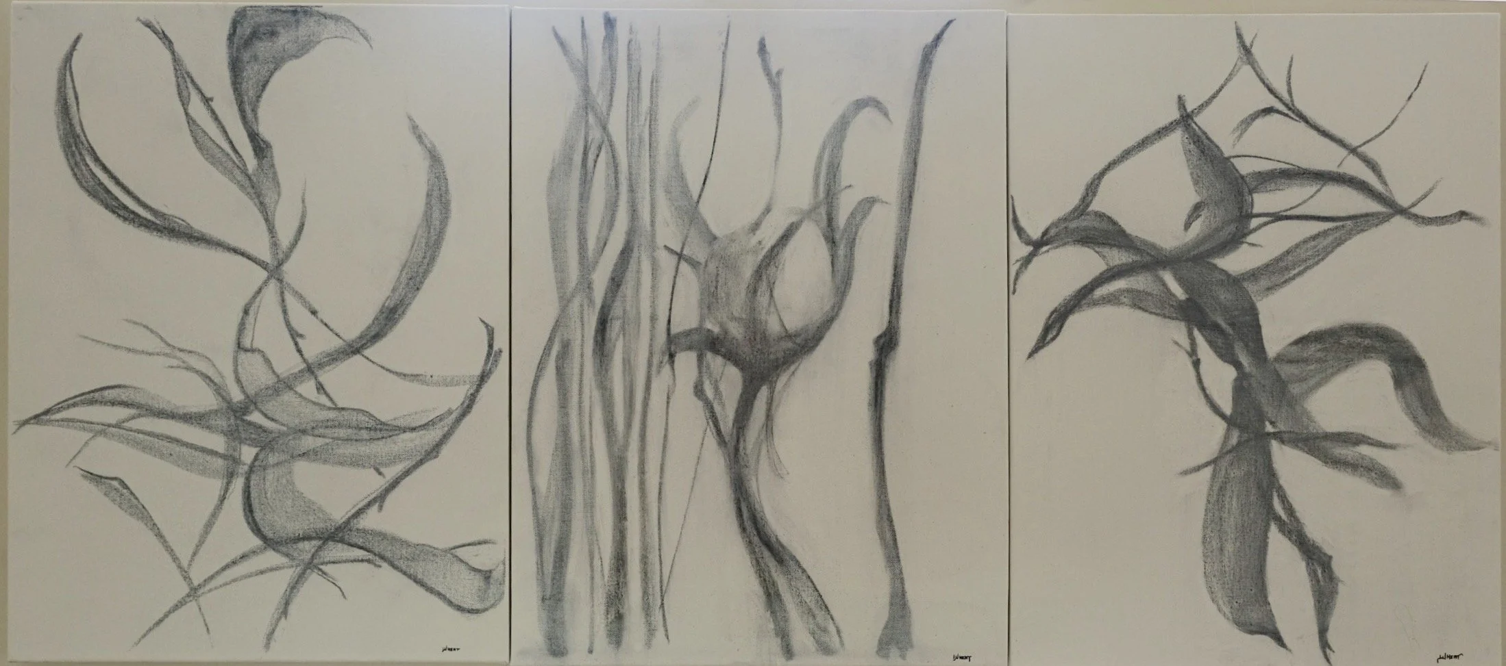 Leaves of Grass (Triptych)