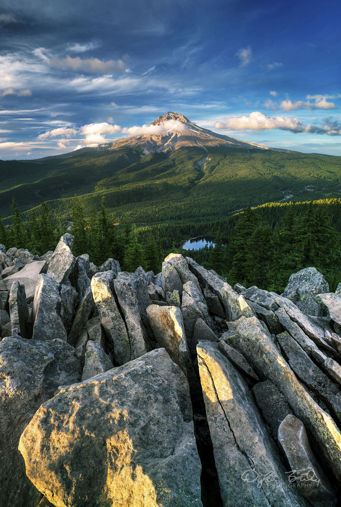 DSC_1855_63_focusstack.jpg
