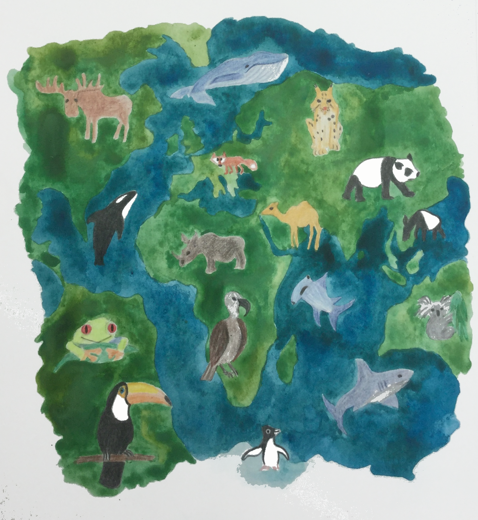 Animal cover 3.png