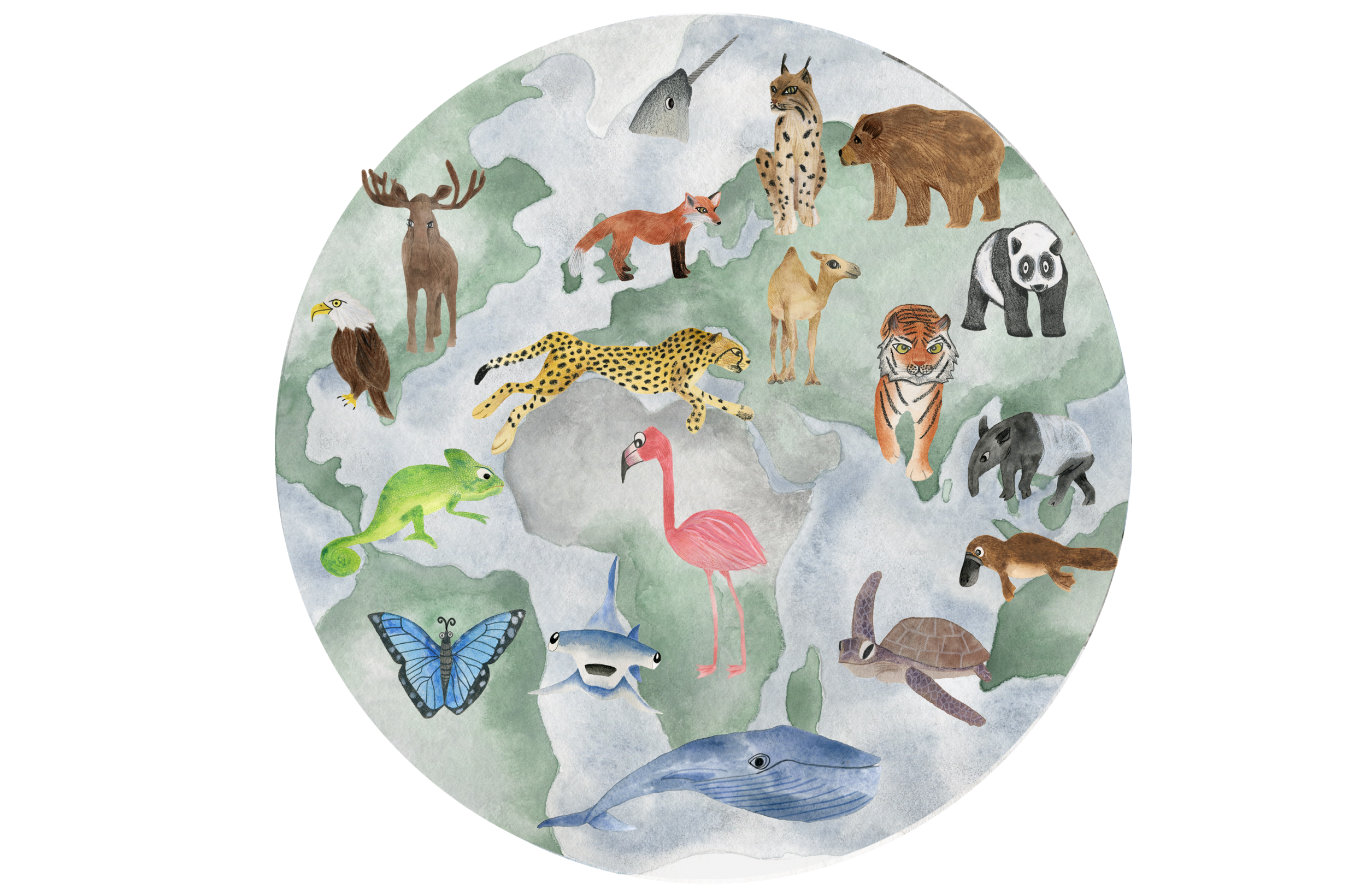 Animal map illustration by Briony Dixon