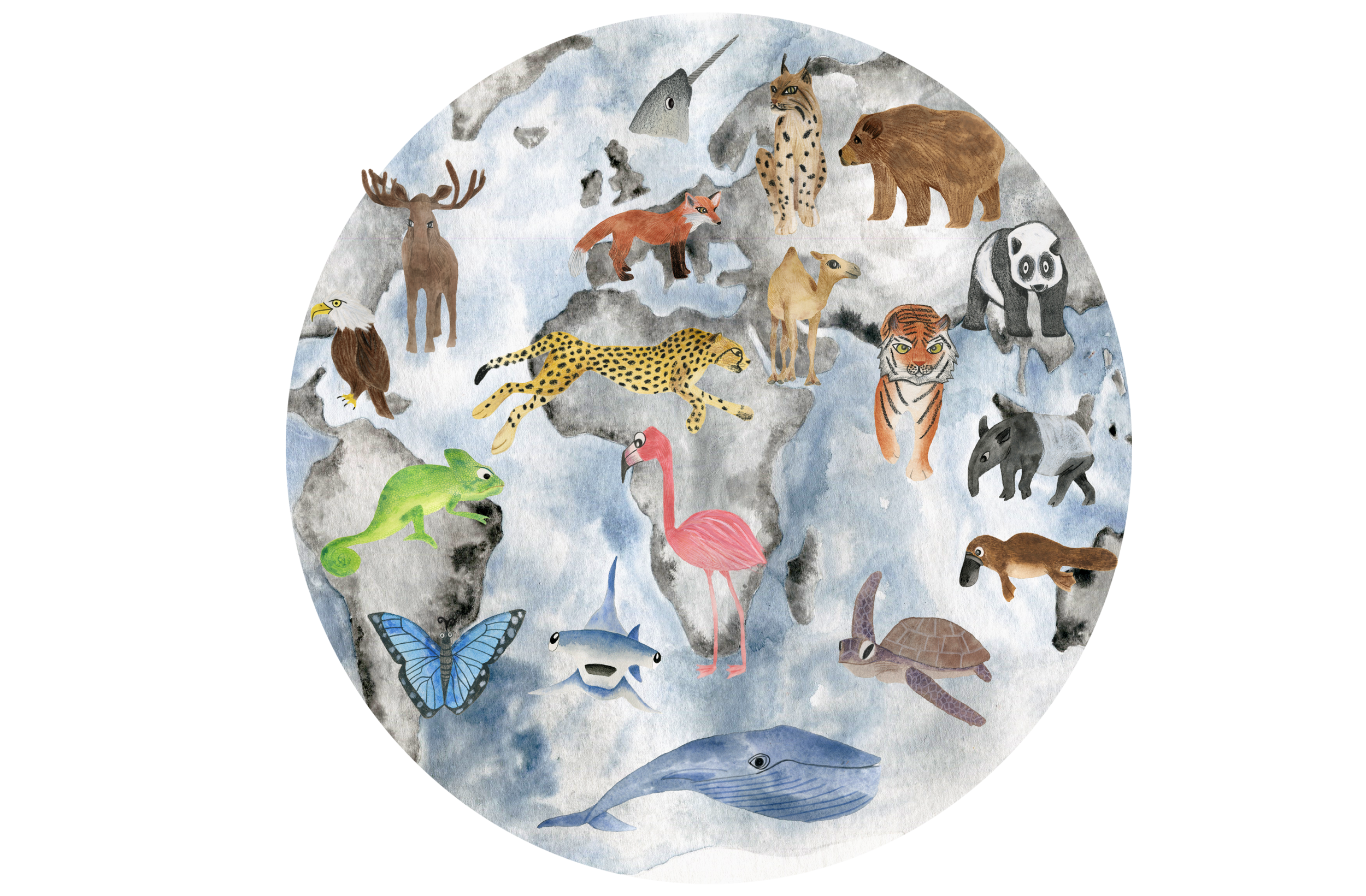 Animal map illustration by Briony Dixon