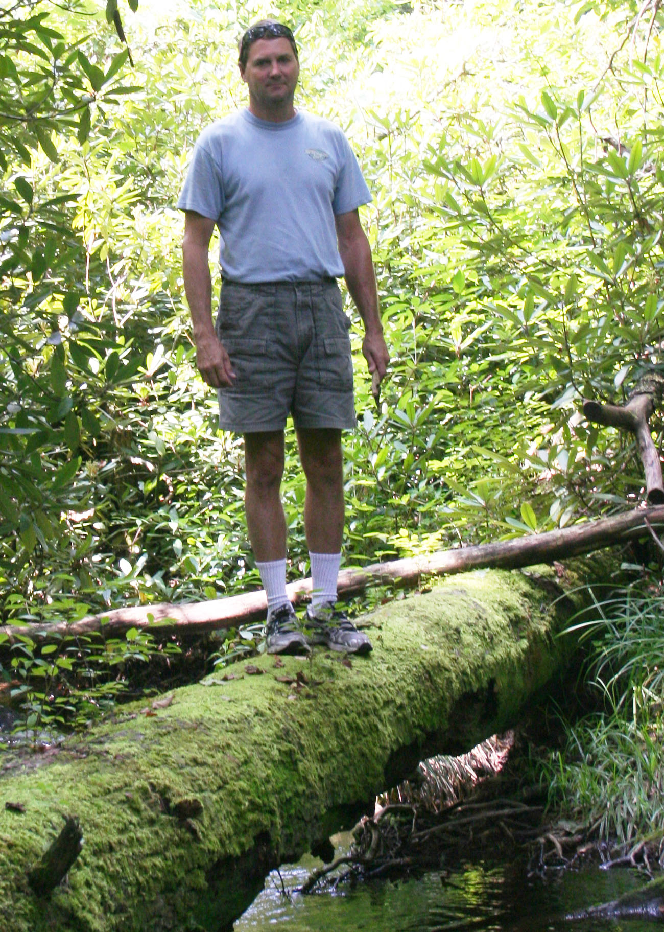 President of Southern Branch Nursery, Eric Gunderson