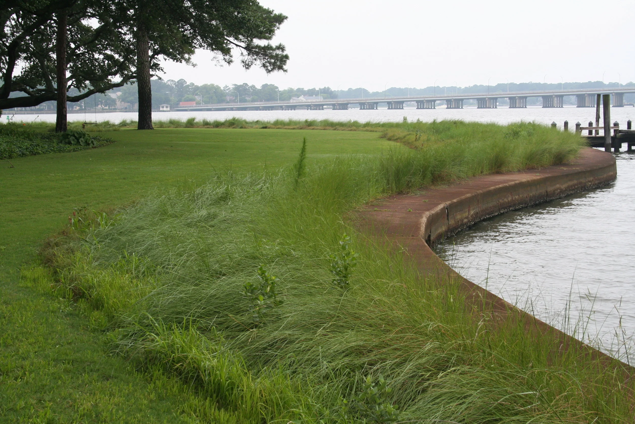 Shoreline Installations — Southern Branch Nursery