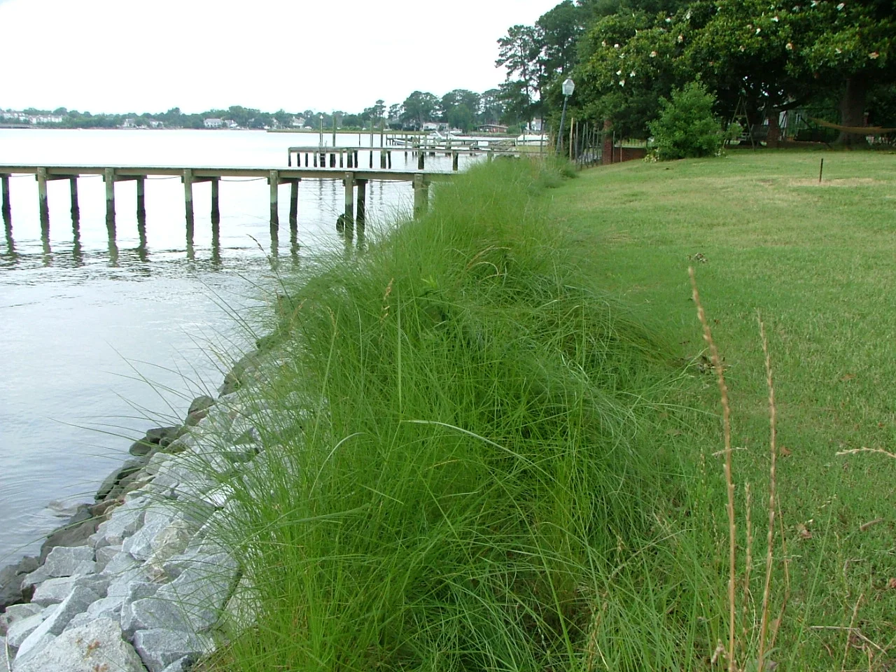 Shoreline Installations — Southern Branch Nursery