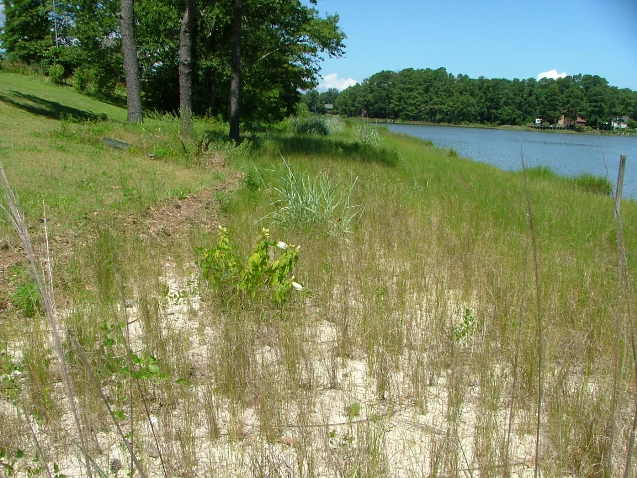 Shoreline Installations — Southern Branch Nursery