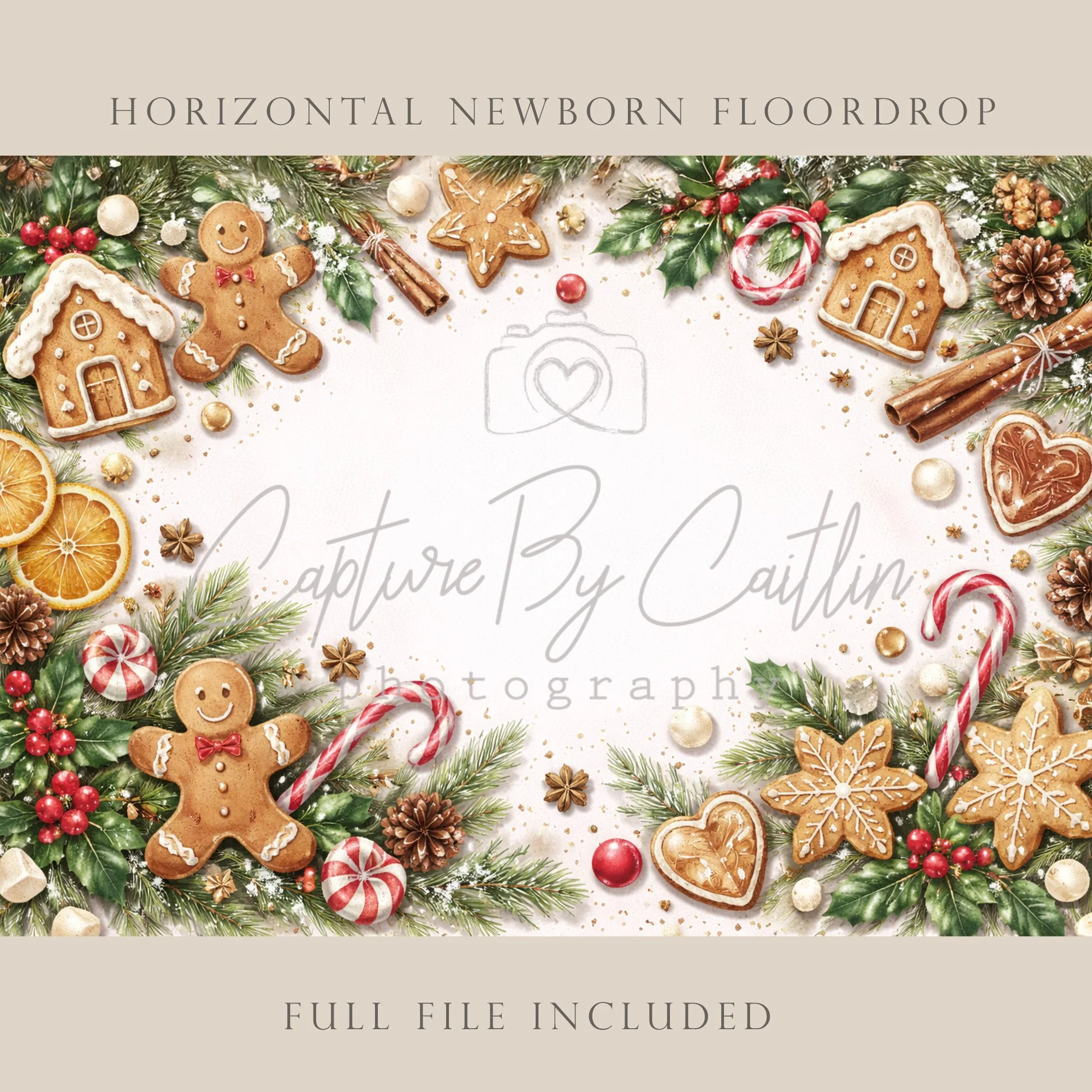 Capture By Caitlin | Christmas | Newborn Floor Drop