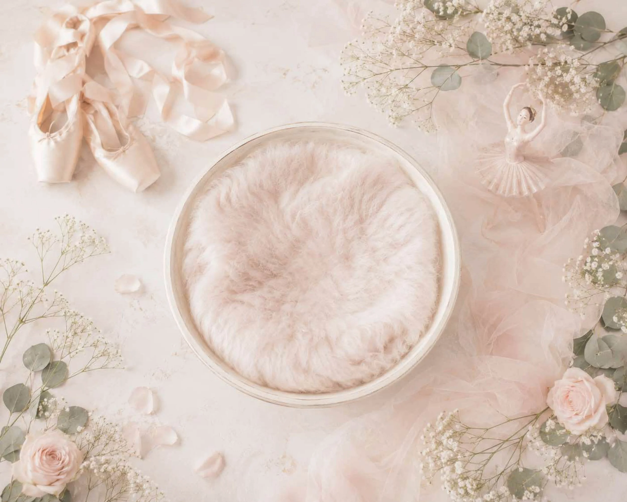 Blush Ballet Dreams