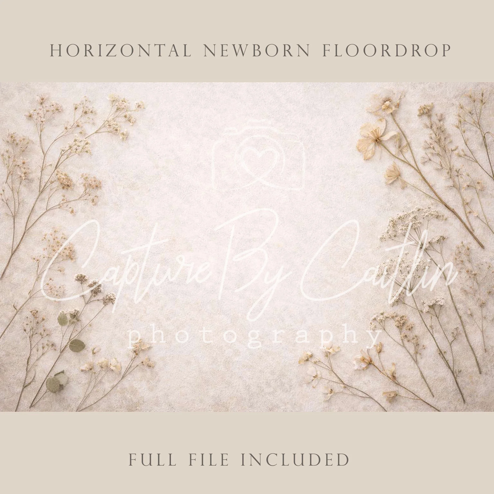 Capture By Caitlin | Dried Florals | Newborn Floor Drop