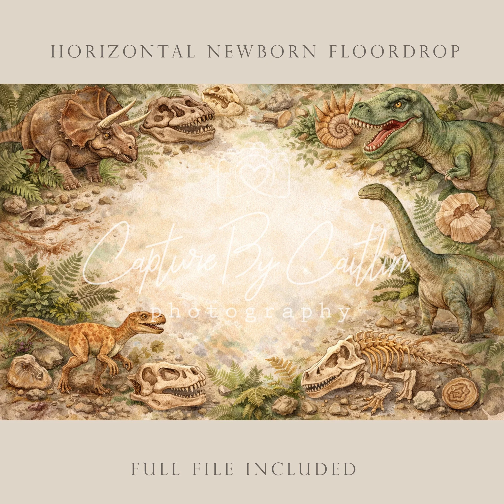 Capture By Caitlin | Dinosaur | Newborn Floor Drop