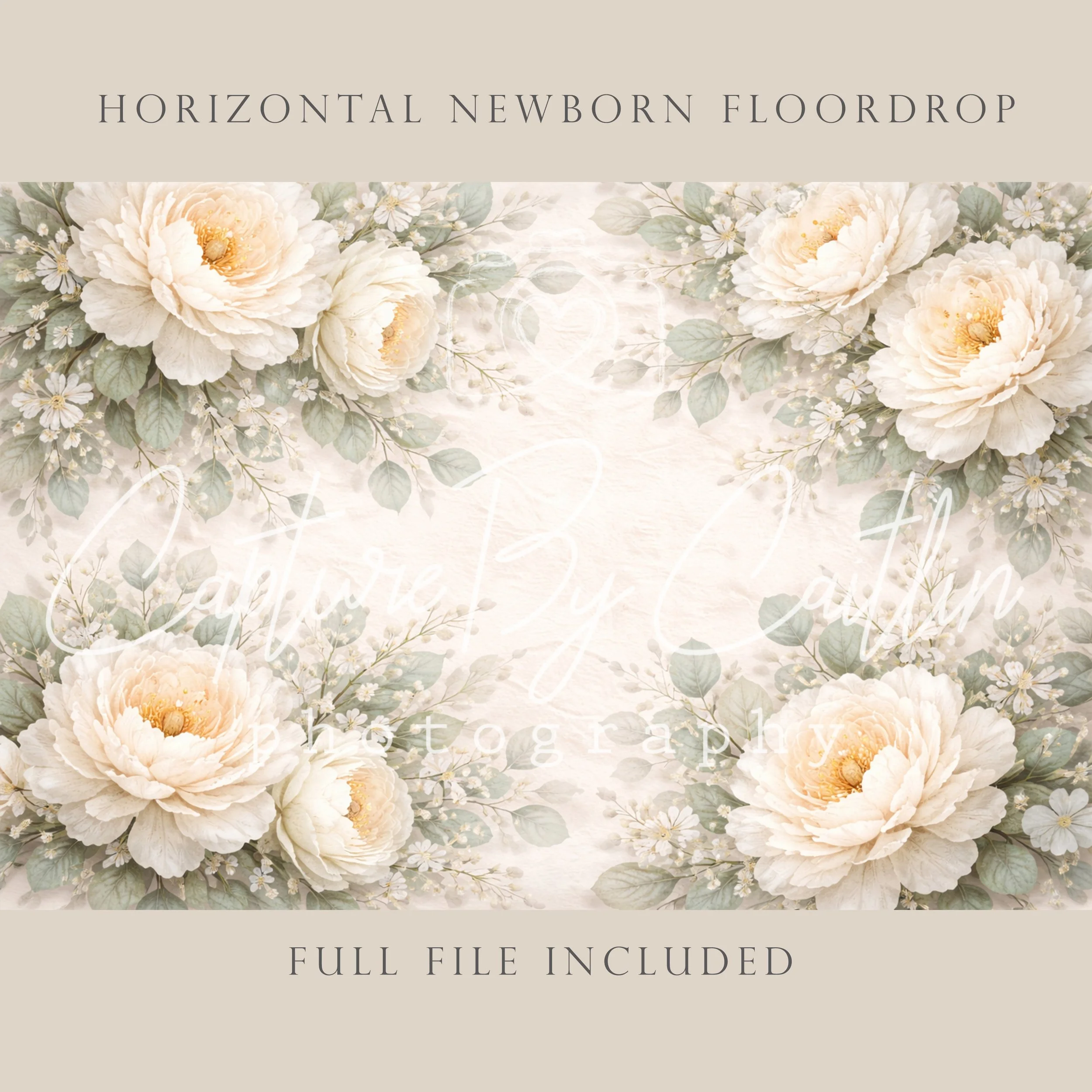 Capture By Caitlin | Ivory Peony | Newborn Floor Drop