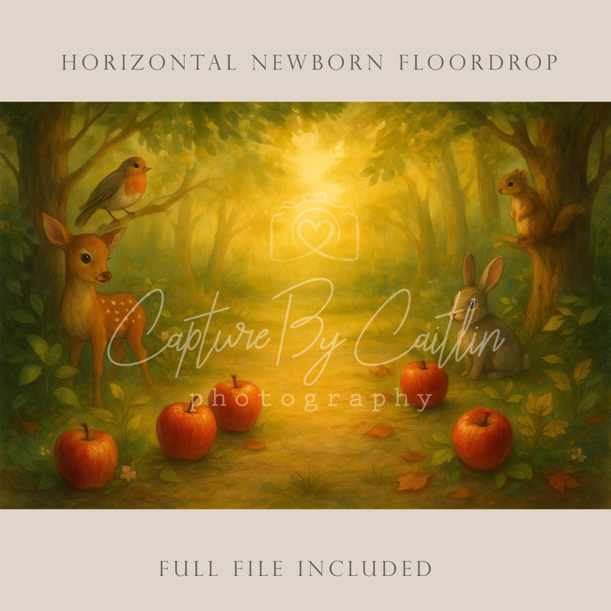 Capture By Caitlin | Red Apple | Newborn Floor Drop