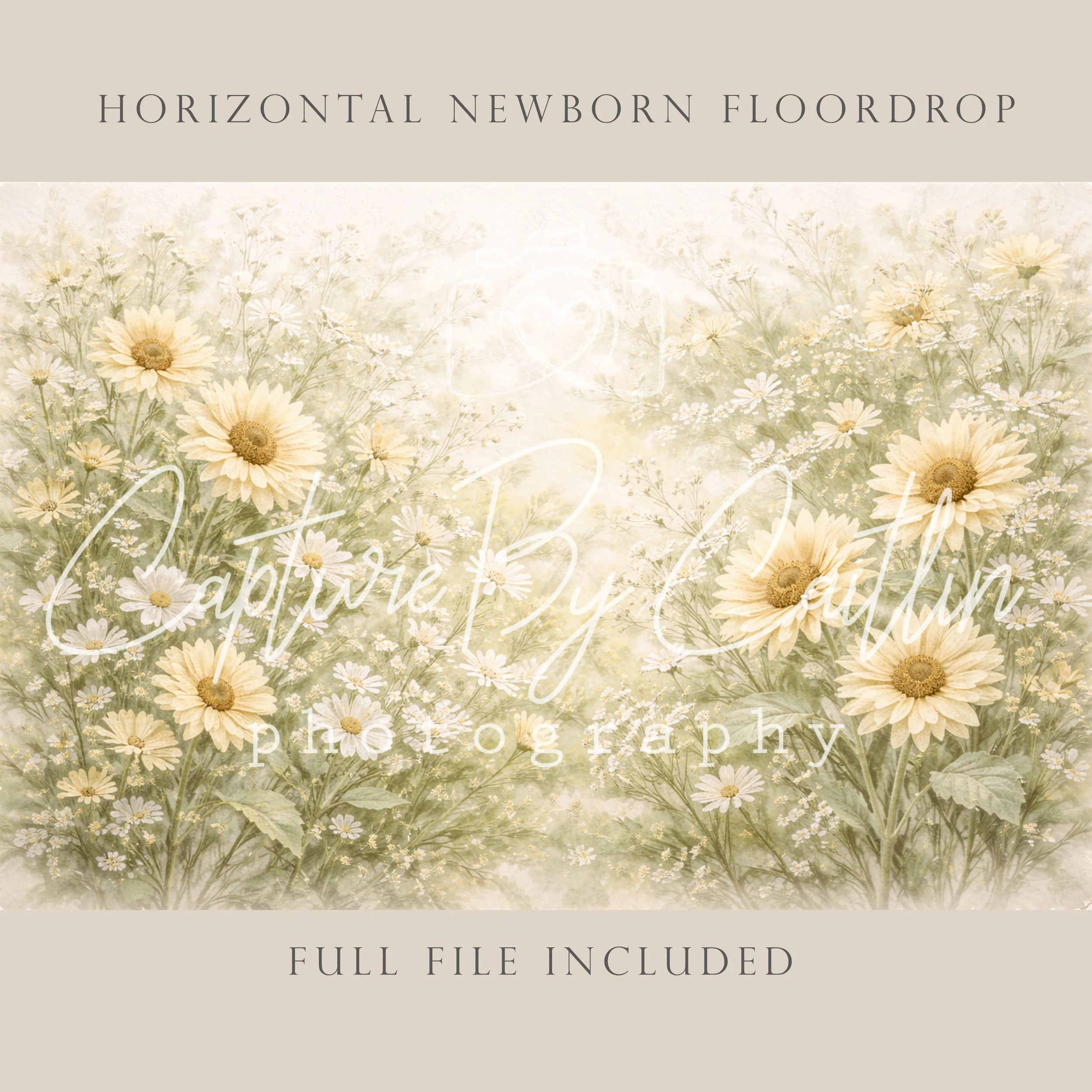 Capture By Caitlin | Sunflower Meadows | Newborn Floor Drop