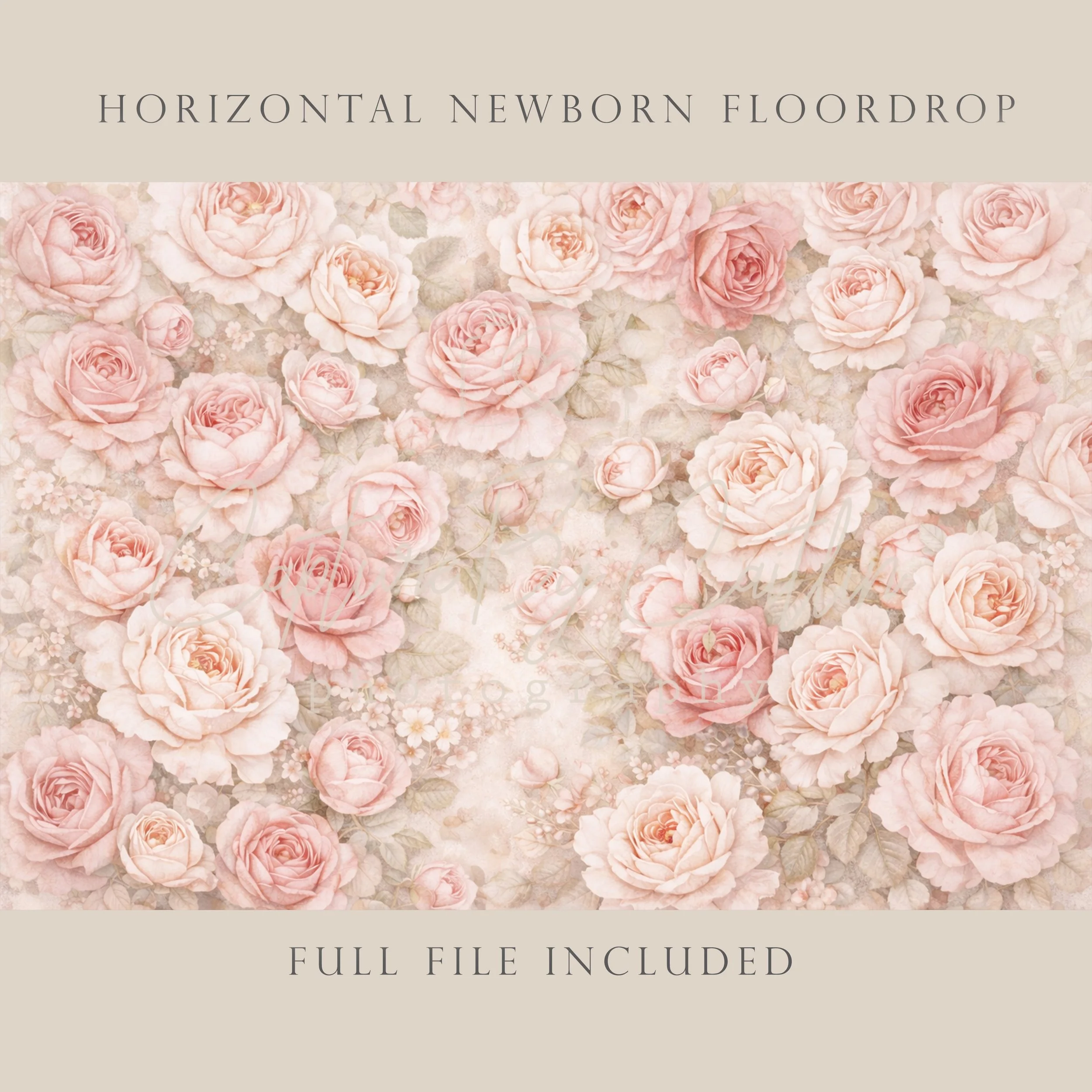 Capture By Caitlin | Antique Rose - Full Bloom | Newborn Floor Drop