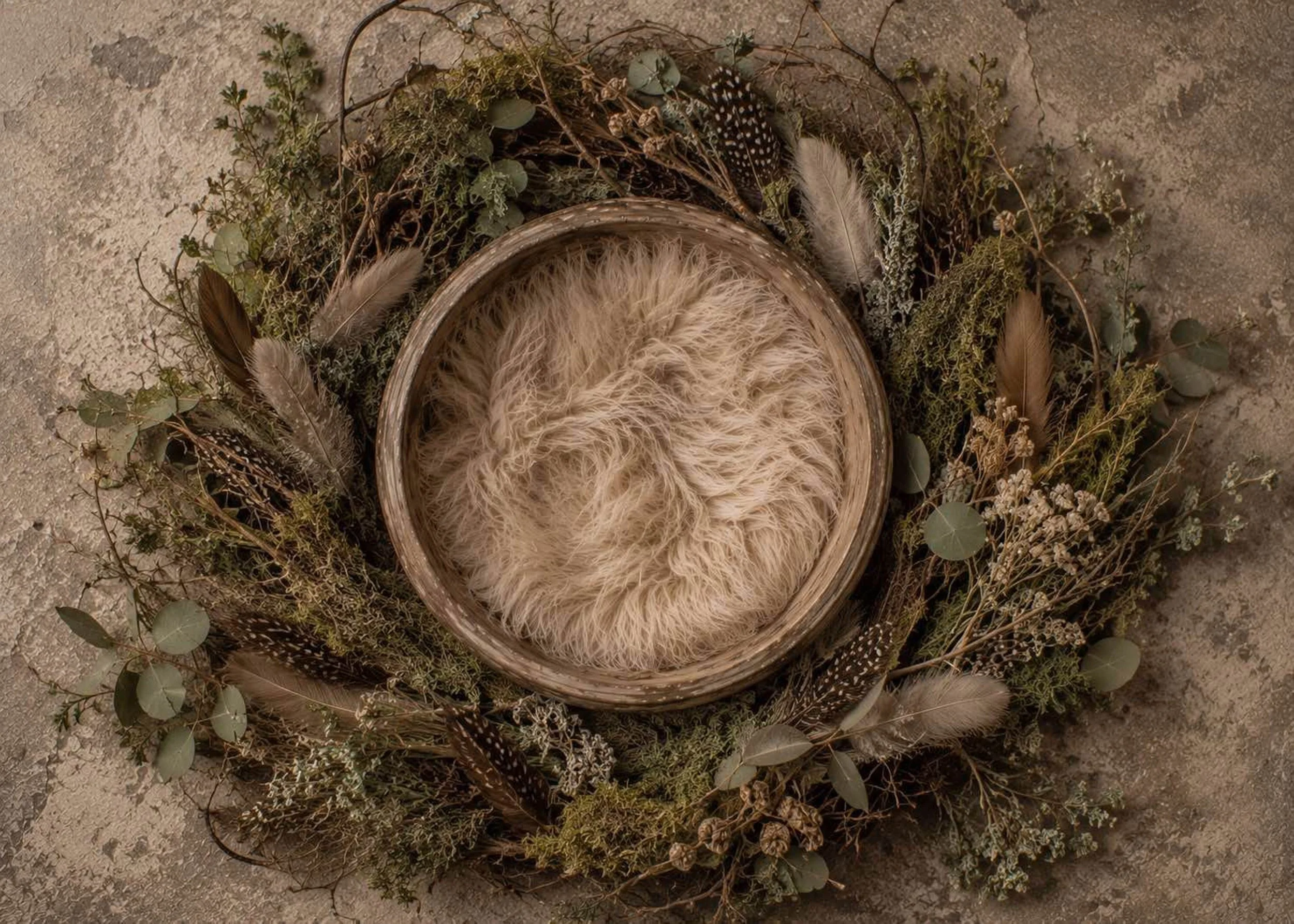 NewbornDigital-1.jpg