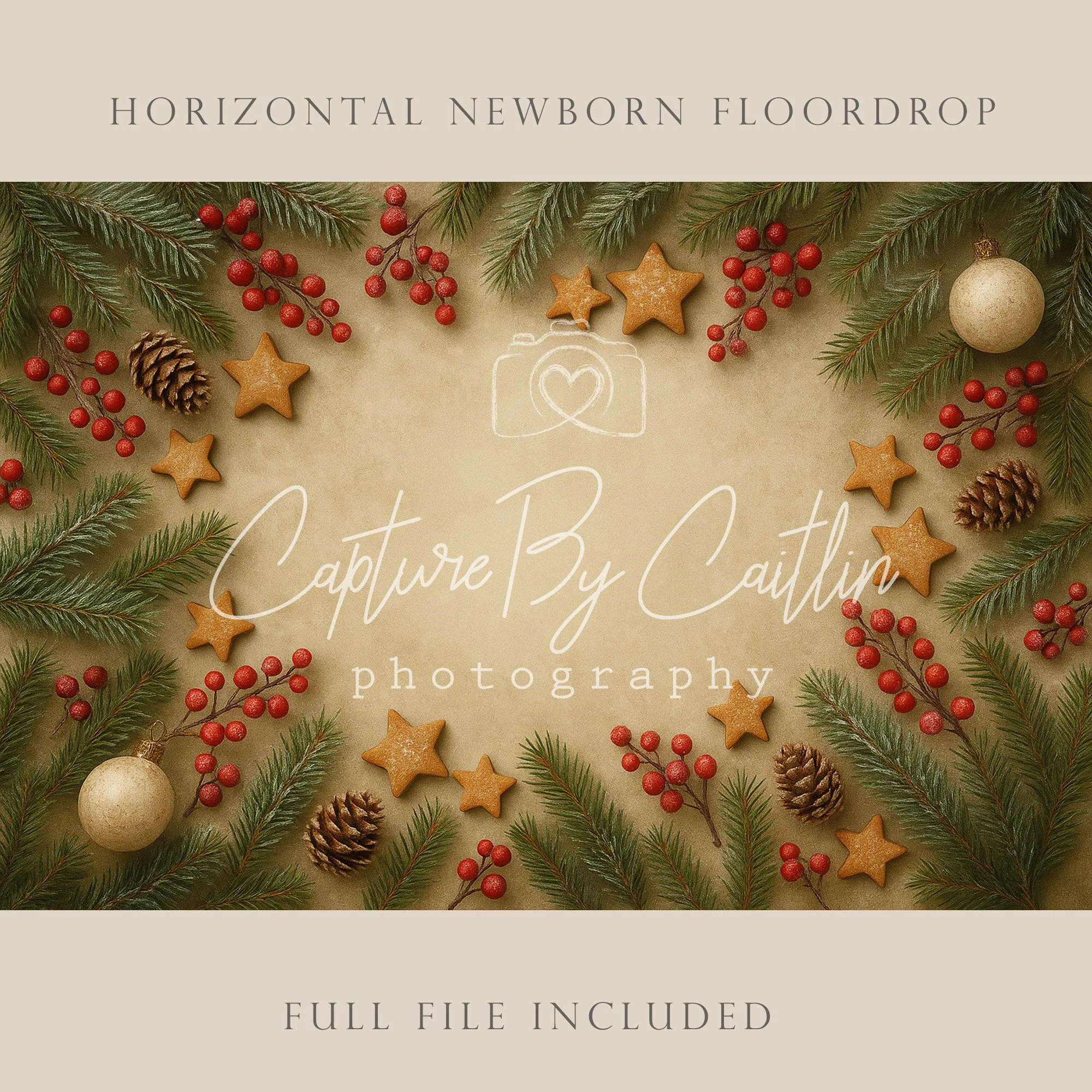 Capture By Caitlin | Christmas | Newborn Floor Drop