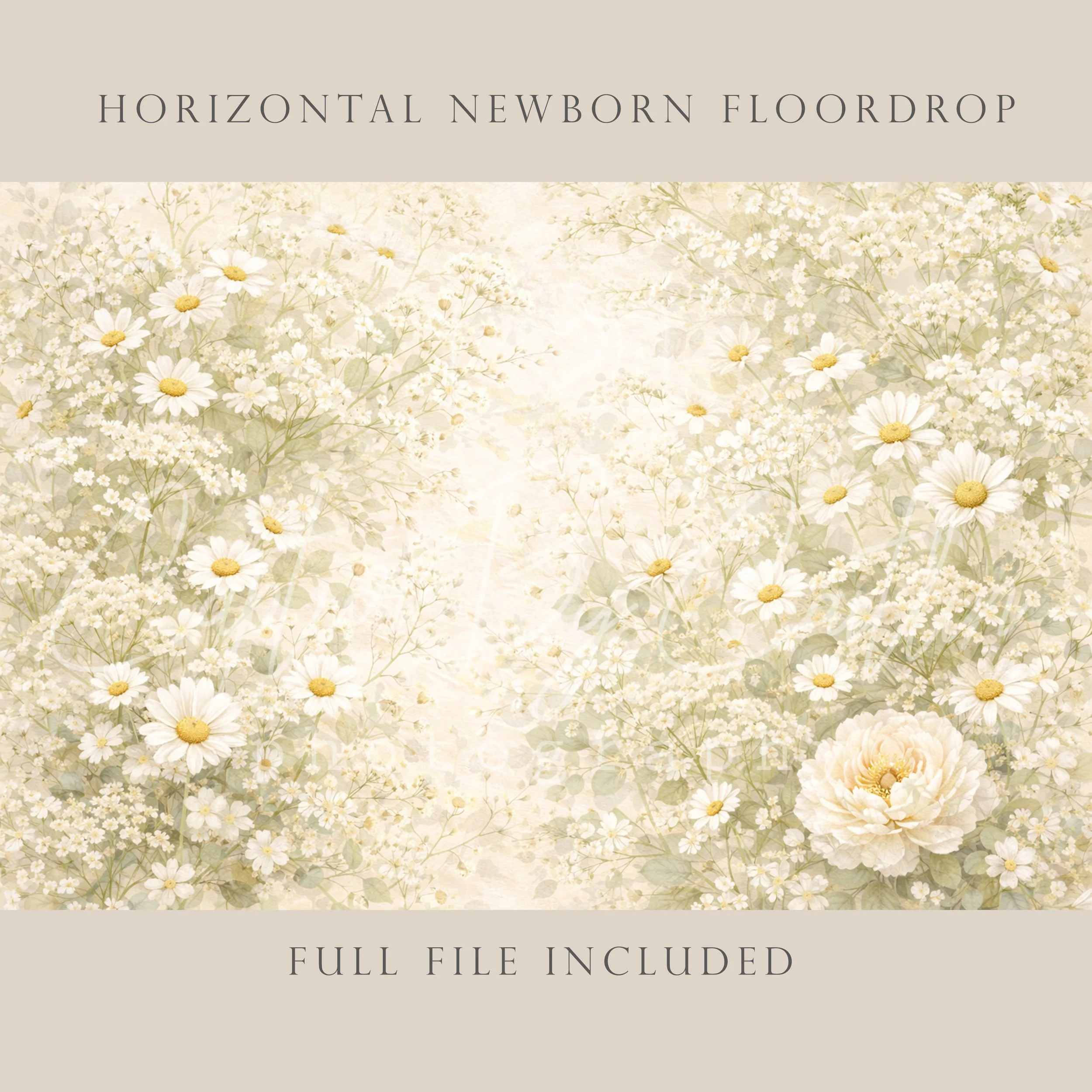 Capture By Caitlin | Antique White Wildflowers | Newborn Floor Drop