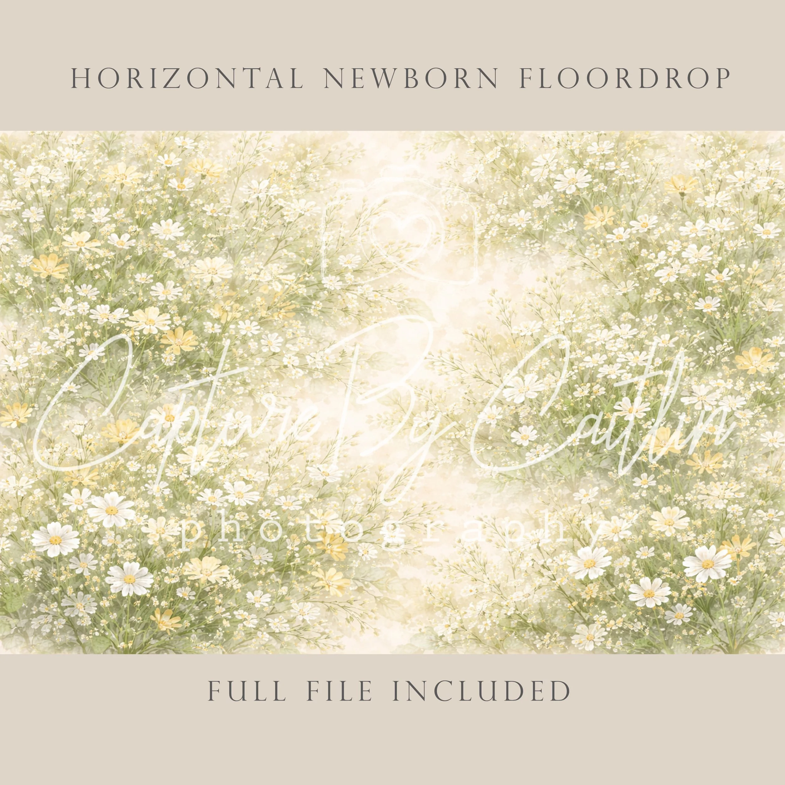 Capture By Caitlin | Spring Meadows | Newborn Floor Drop