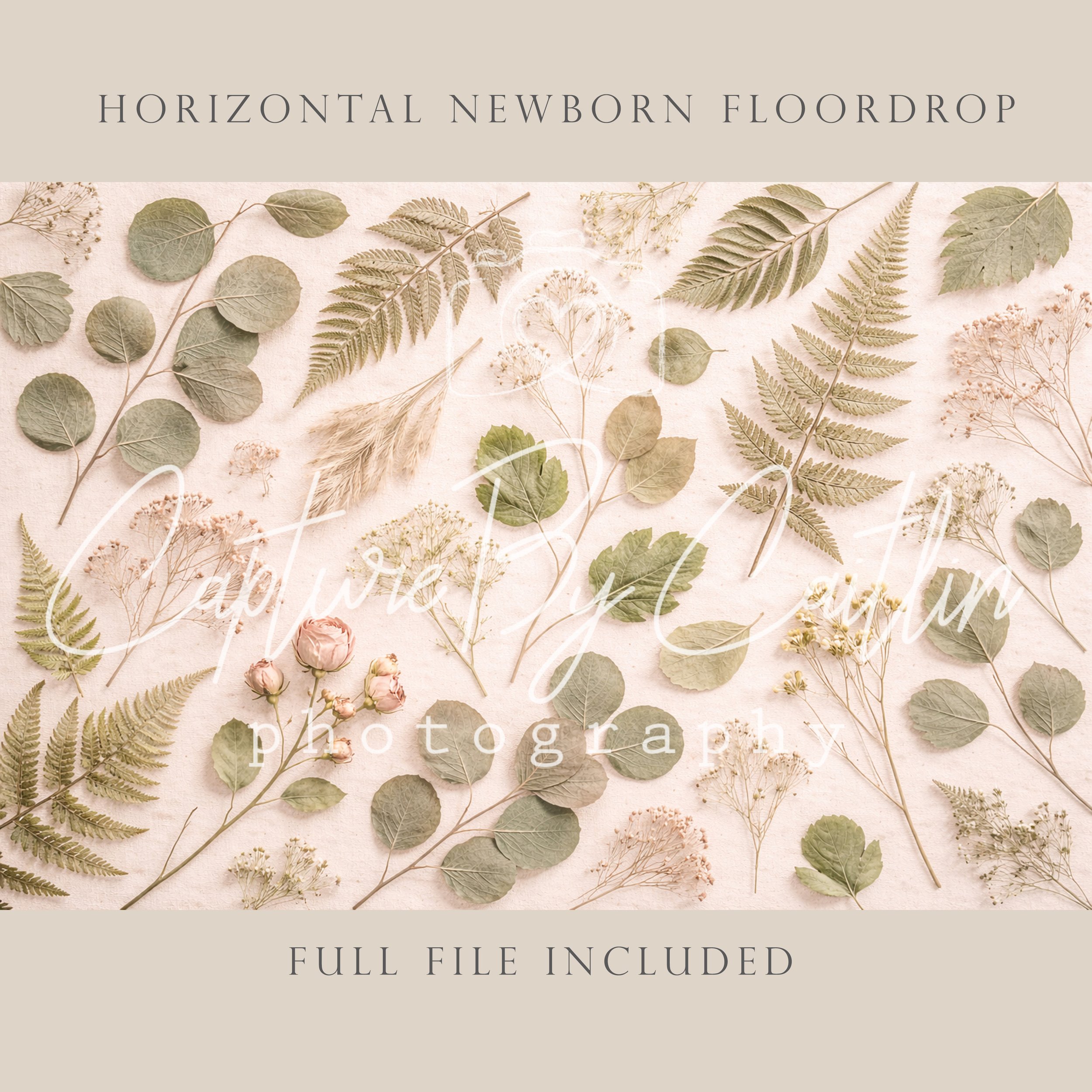 Capture By Caitlin | Greenhouse Hierloom | Newborn Floor Drop