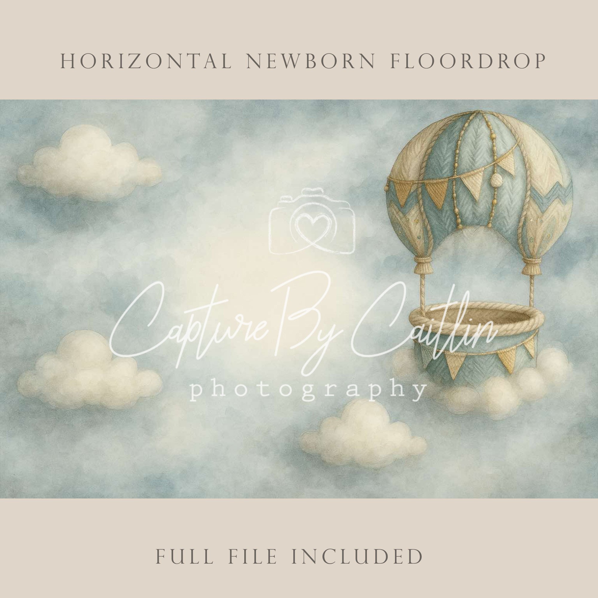 Capture By Caitlin | Balloon | Newborn Floor Drop