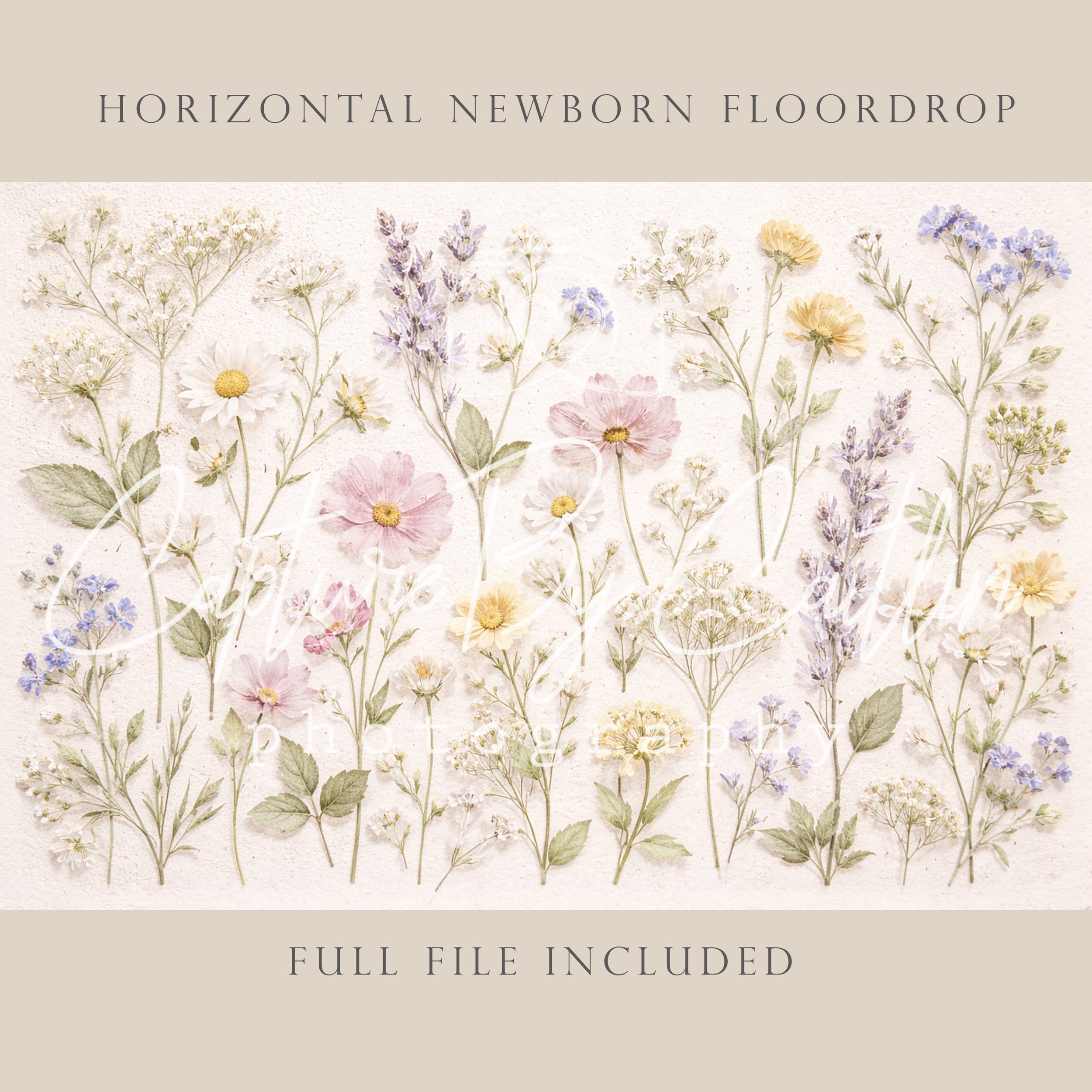 Capture By Caitlin | Pressed Wildflowers | Newborn Floor Drop
