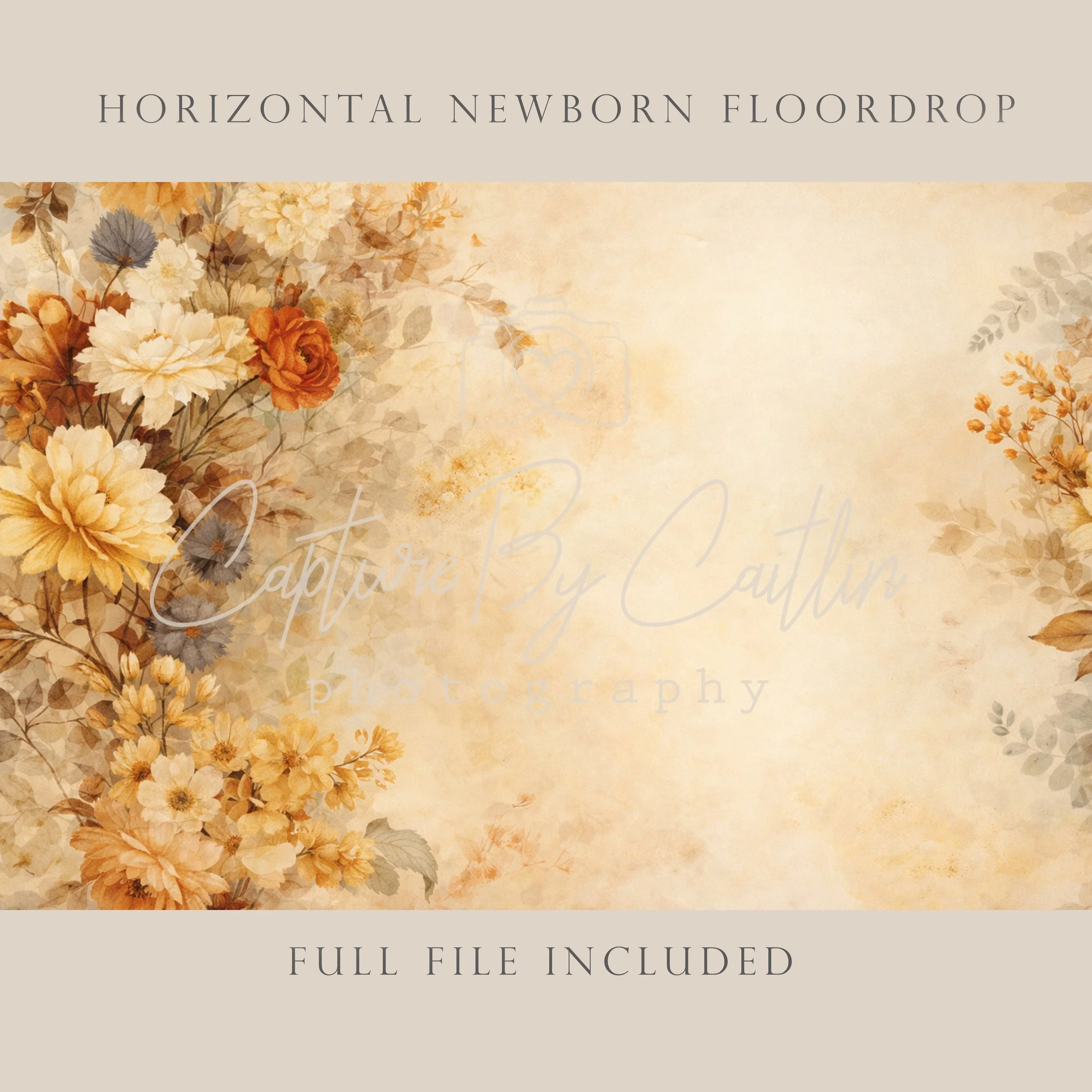 Capture By Caitlin | Amber Bloom | Newborn Floor Drop