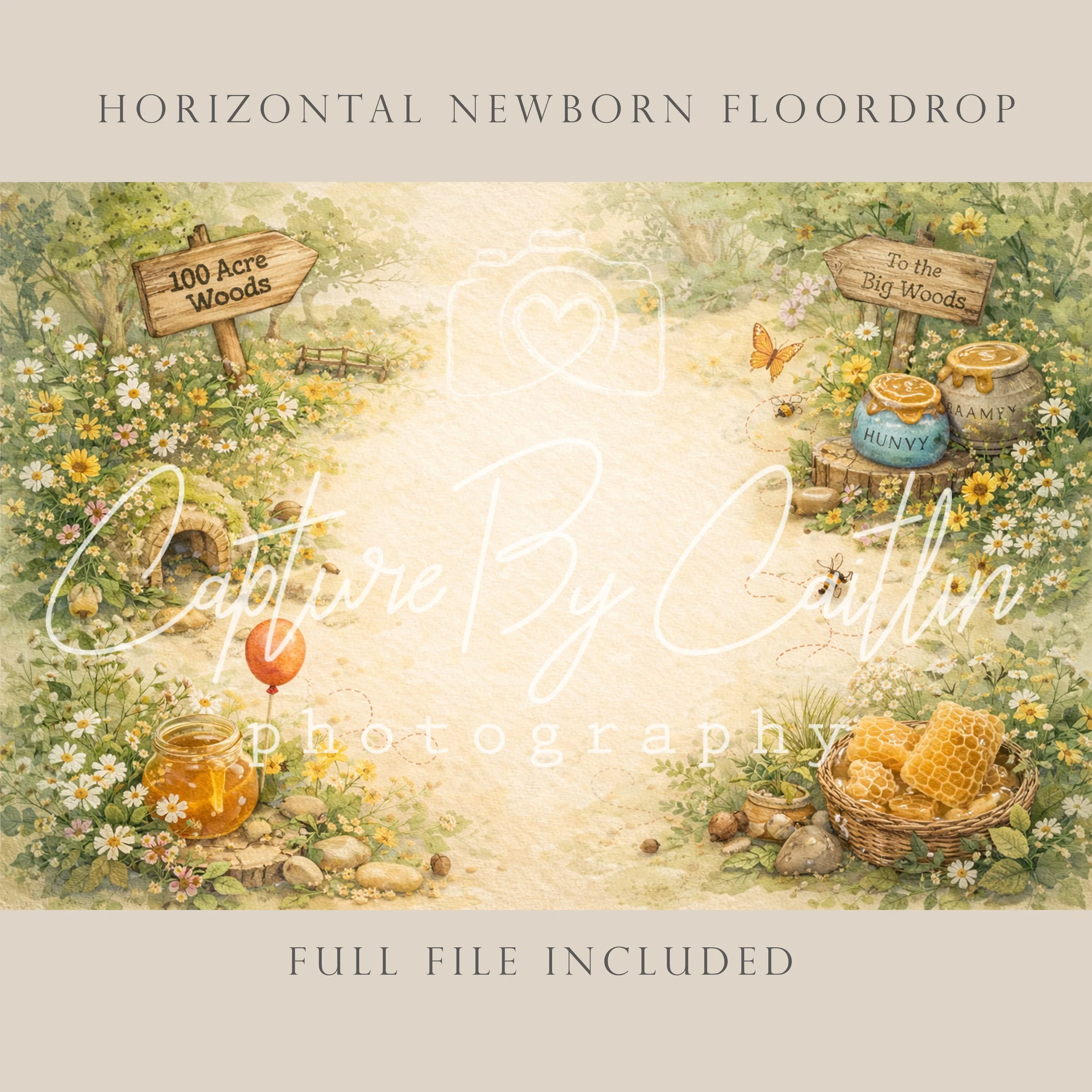 Capture By Caitlin | 100 Acre Woods | Newborn Floor Drop
