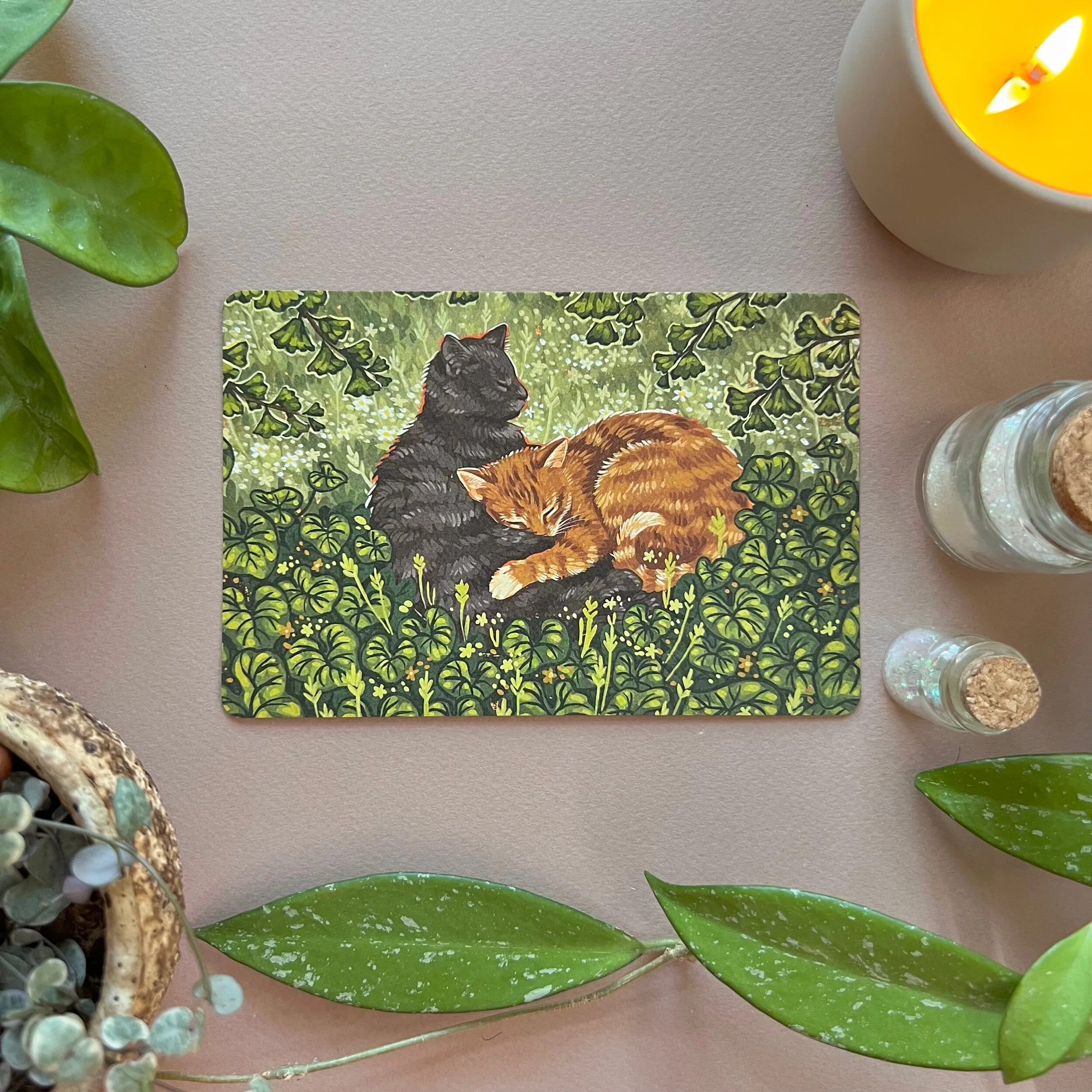 2792E4A0-8F3C-4D02-86EE-7057DB99B489