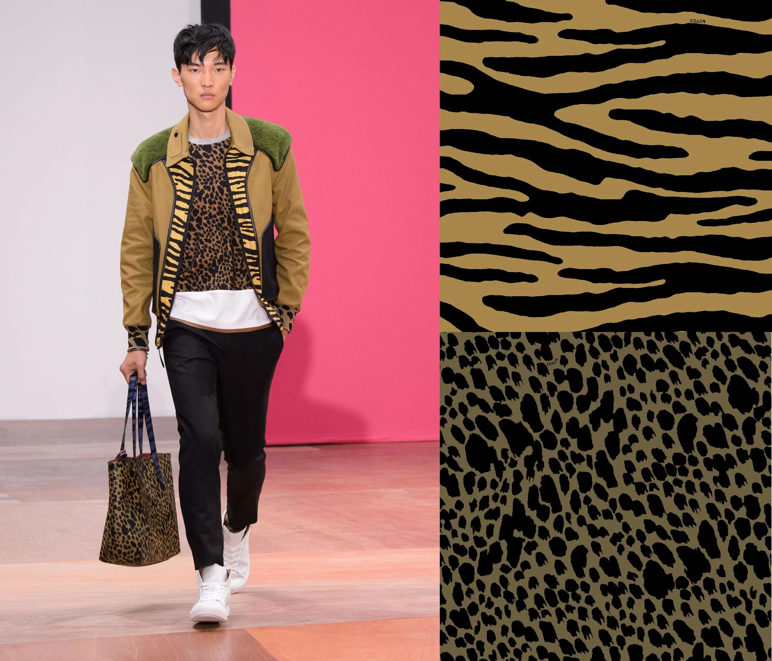 TigerSpotted.jpg