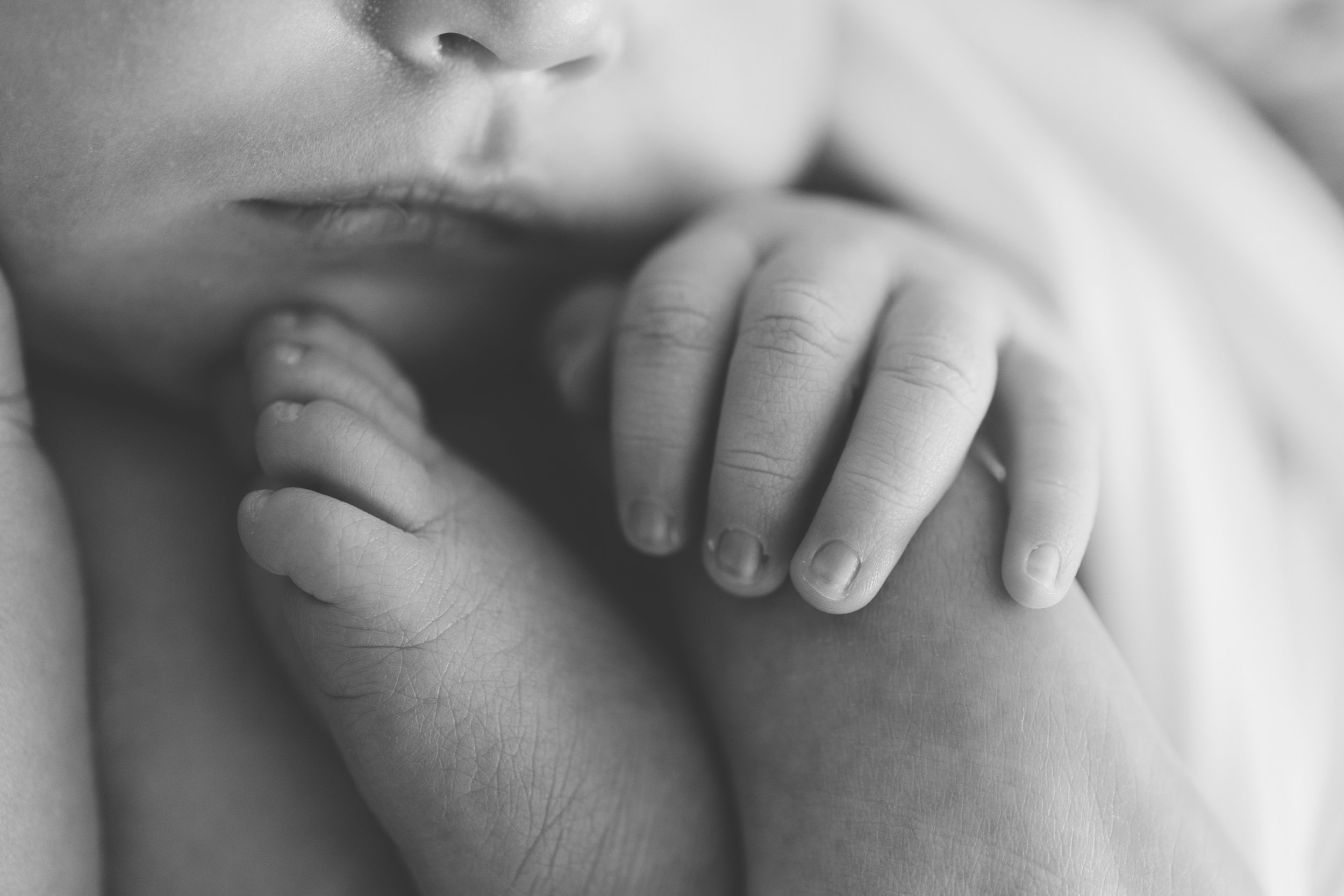 posed studio newborn baby session in cortland oh by newborn photographer christie leigh photo-7.jpg