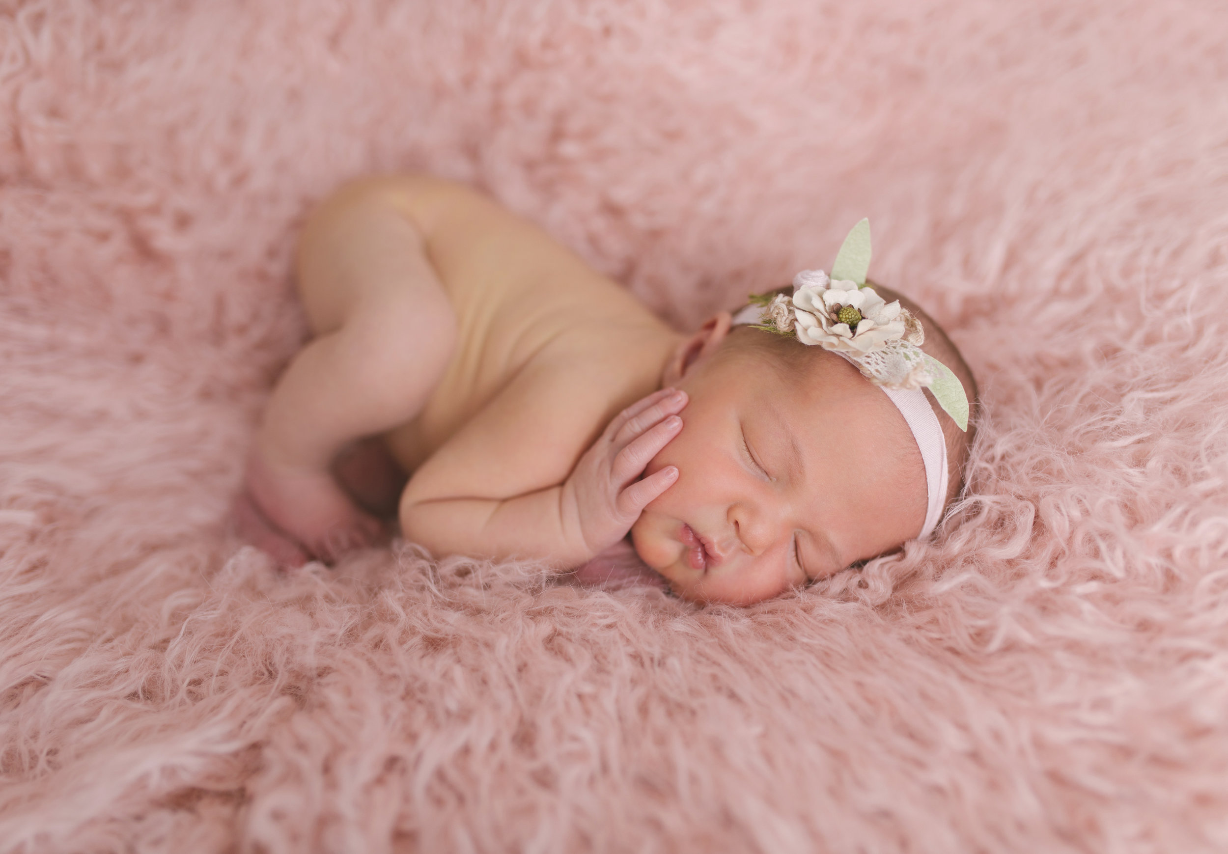 posed studio newborn baby session in cortland oh by newborn photographer christie leigh photo-11.jpg