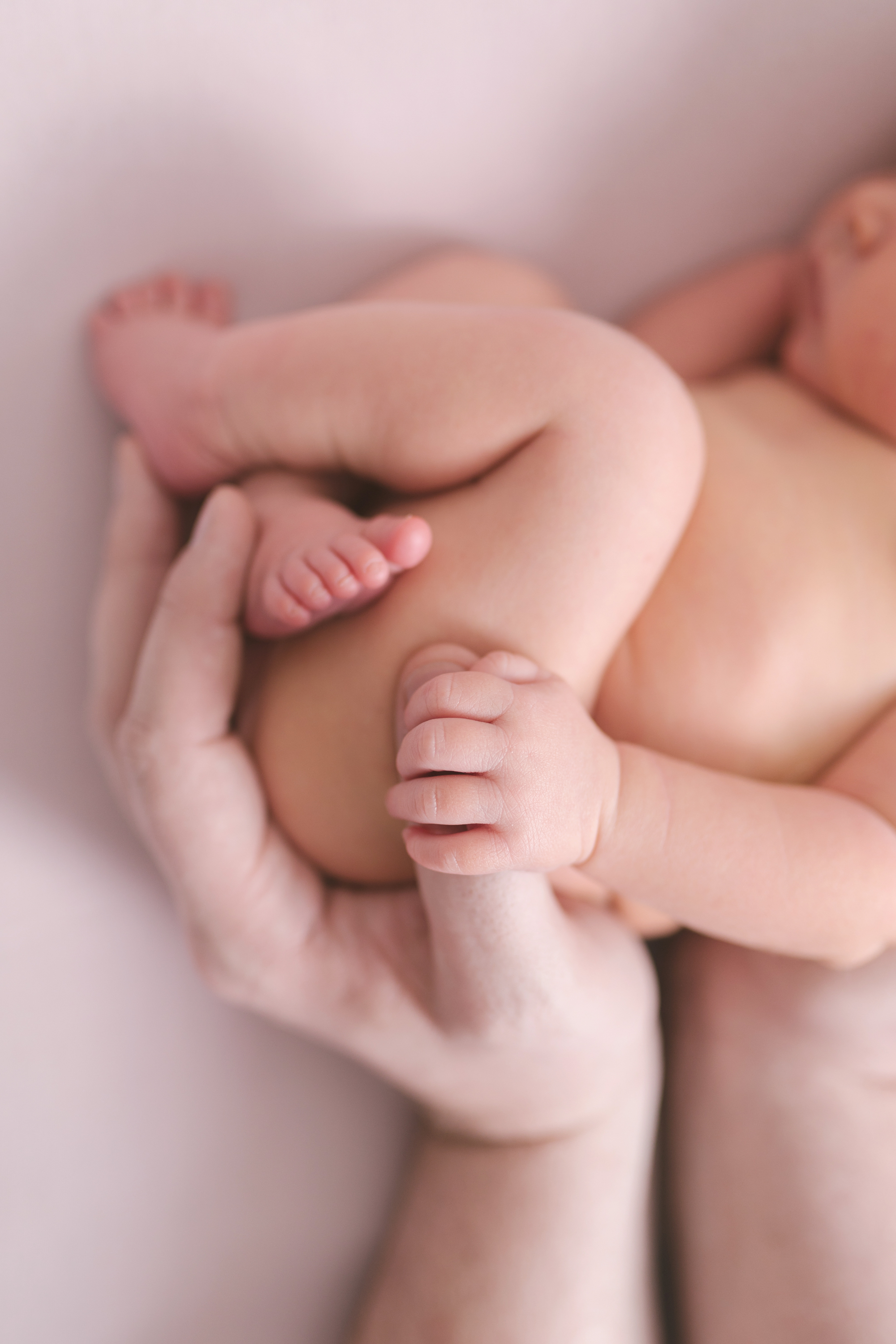 posed studio newborn baby session in cortland oh by newborn photographer christie leigh photo-20.jpg