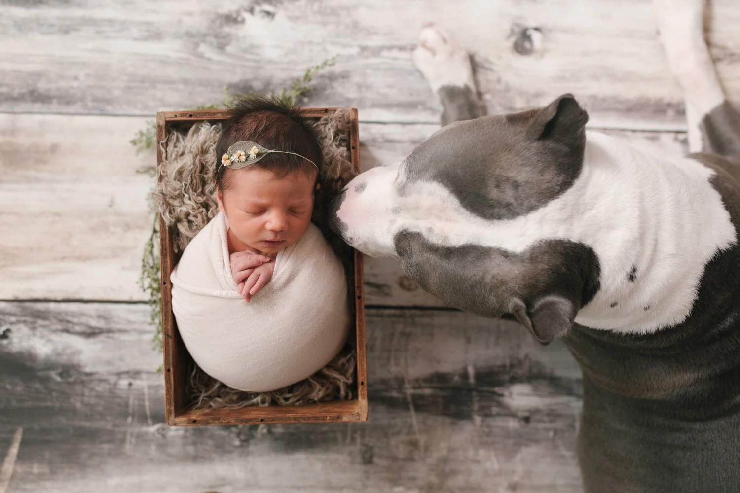 christie leigh maternity newborn and family photographer