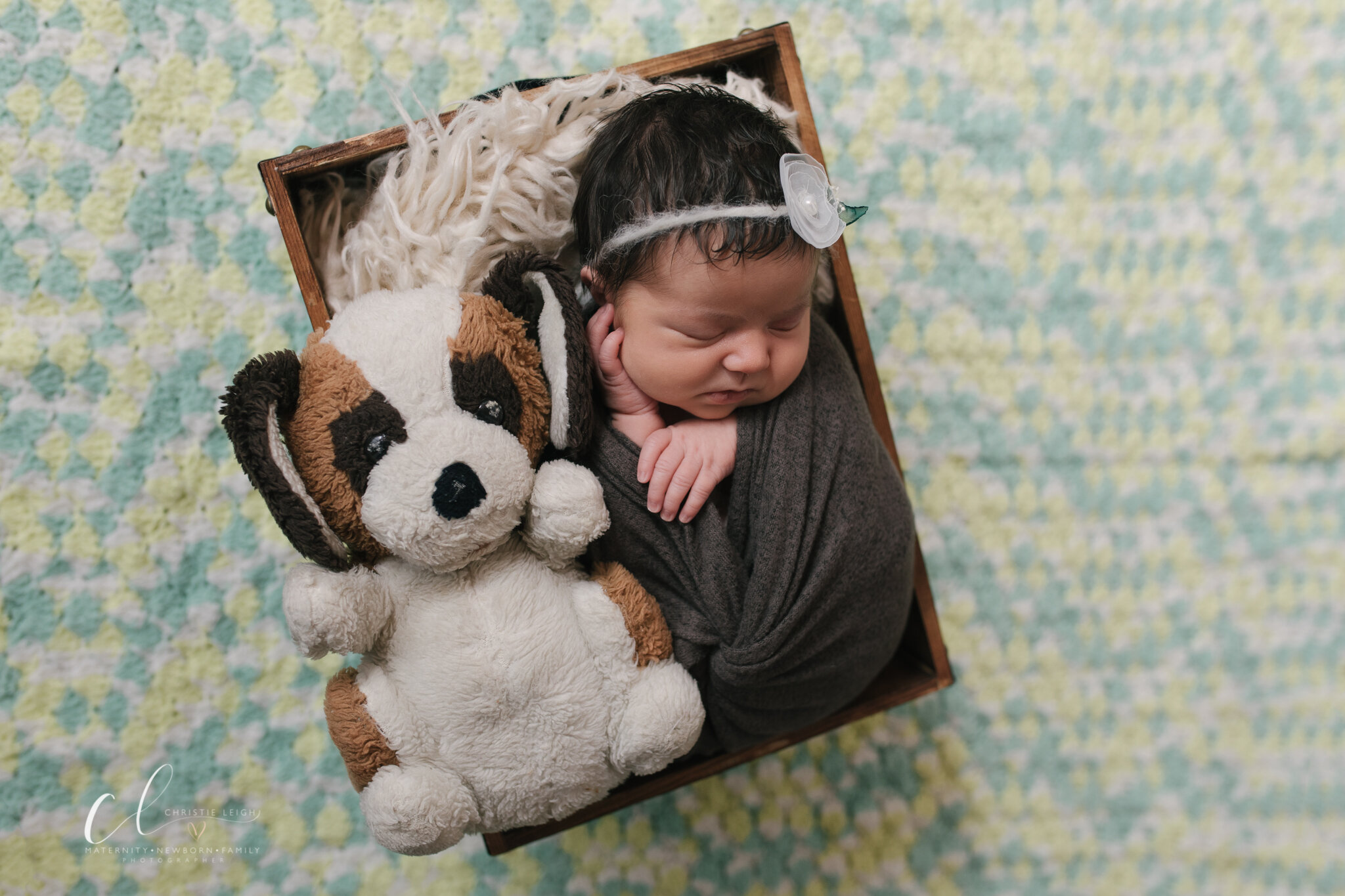 Holiday_Newborn_Shoot_Christmas_Baby_Holiday_Styled_Studio_Newborn_Session_in_Youngstown_Ohio_with_Newborn_Photographer_Christie_Leigh_Photo-7.JPG