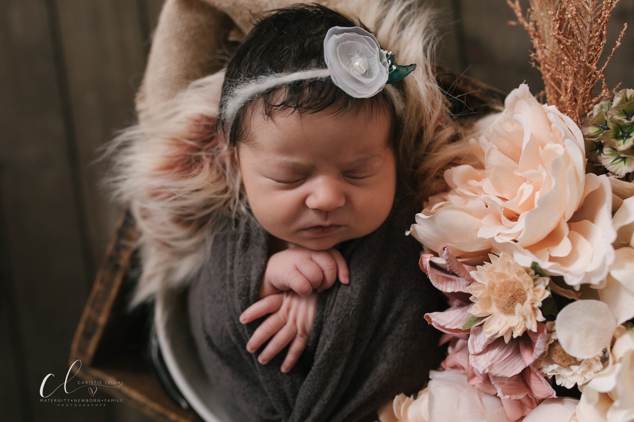 Holiday_Newborn_Shoot_Christmas_Baby_Holiday_Styled_Studio_Newborn_Session_in_Youngstown_Ohio_with_Newborn_Photographer_Christie_Leigh_Photo-9.JPG