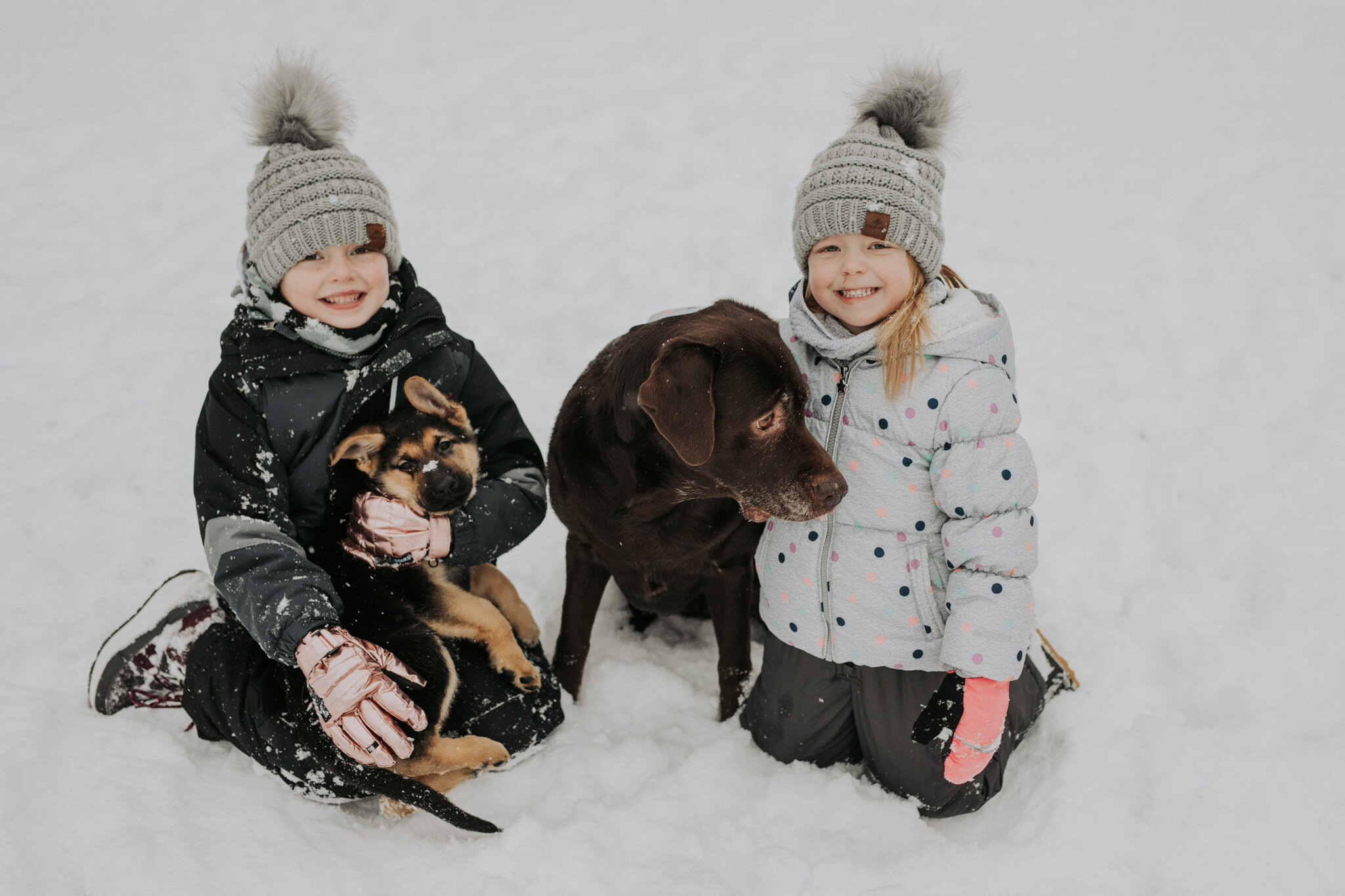 German_Shephard_Puppy_8_Eight_Weeks_Old_New_Dog_Snow_Photos_with_Kids_Trumbull_County_OH_Ohio-20.jpg