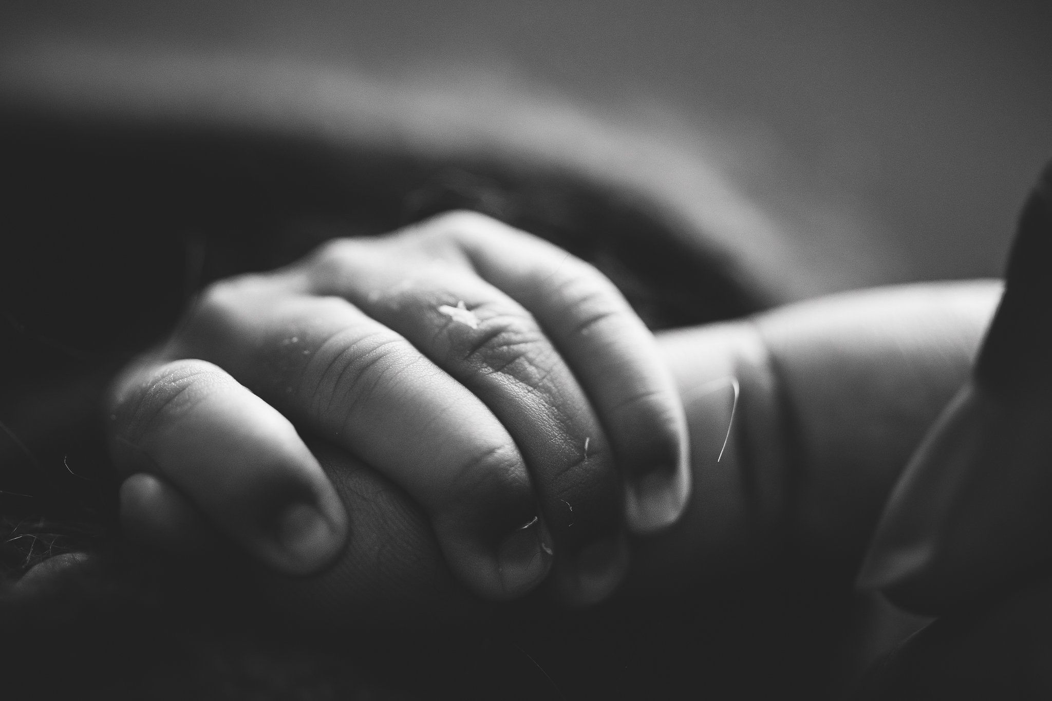 Posed_Studio_Newborn_Photographer_Second_Child_Siblings_Baby_Boy_Navy_Mustard_by_Christie_Leigh_Photo_Champion_OH_Ohio_Trumbull_County-8.jpg