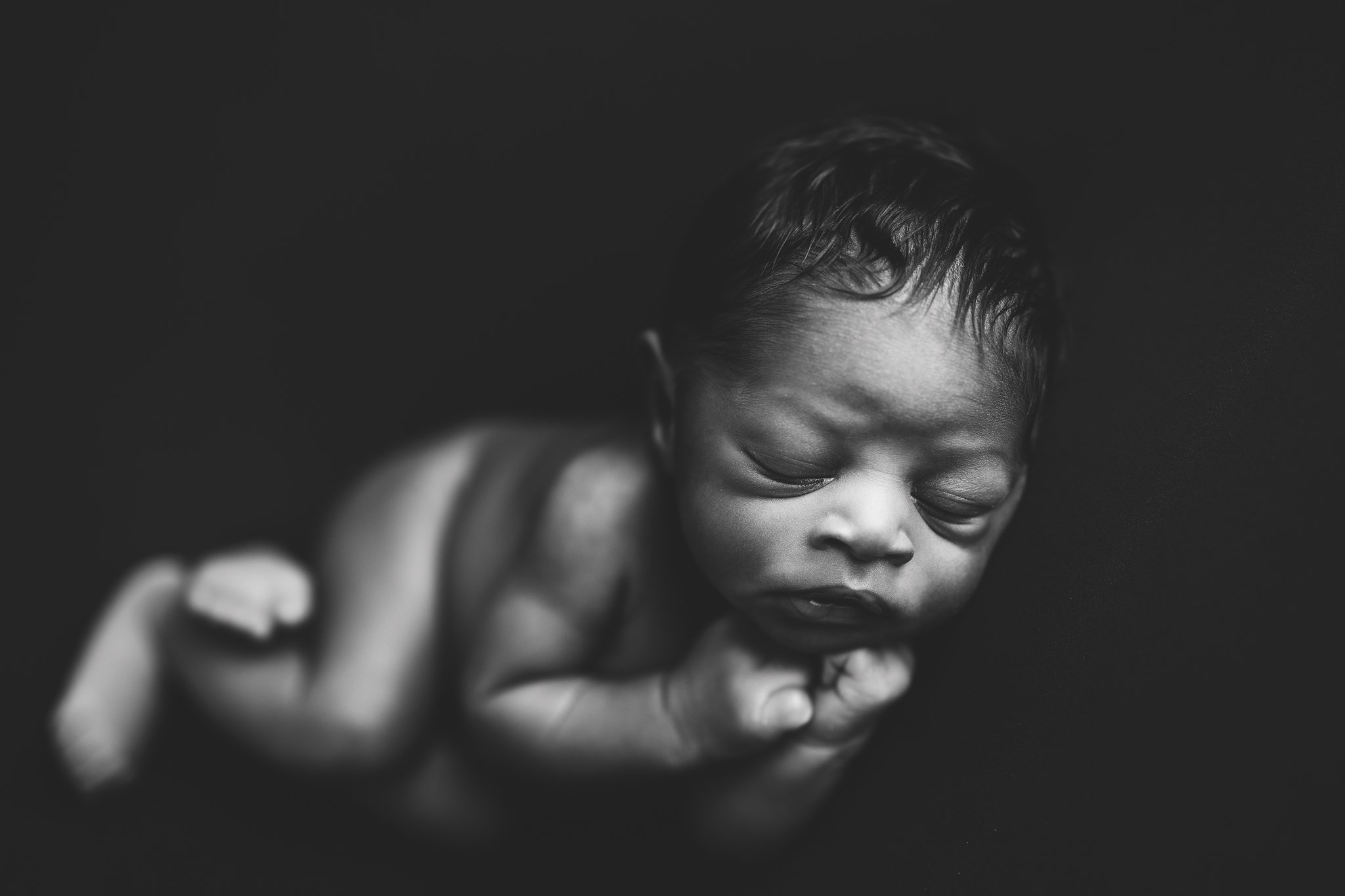 Posed_Studio_Newborn_Photographer_Second_Child_Siblings_Baby_Boy_Navy_Mustard_by_Christie_Leigh_Photo_Champion_OH_Ohio_Trumbull_County-14.jpg