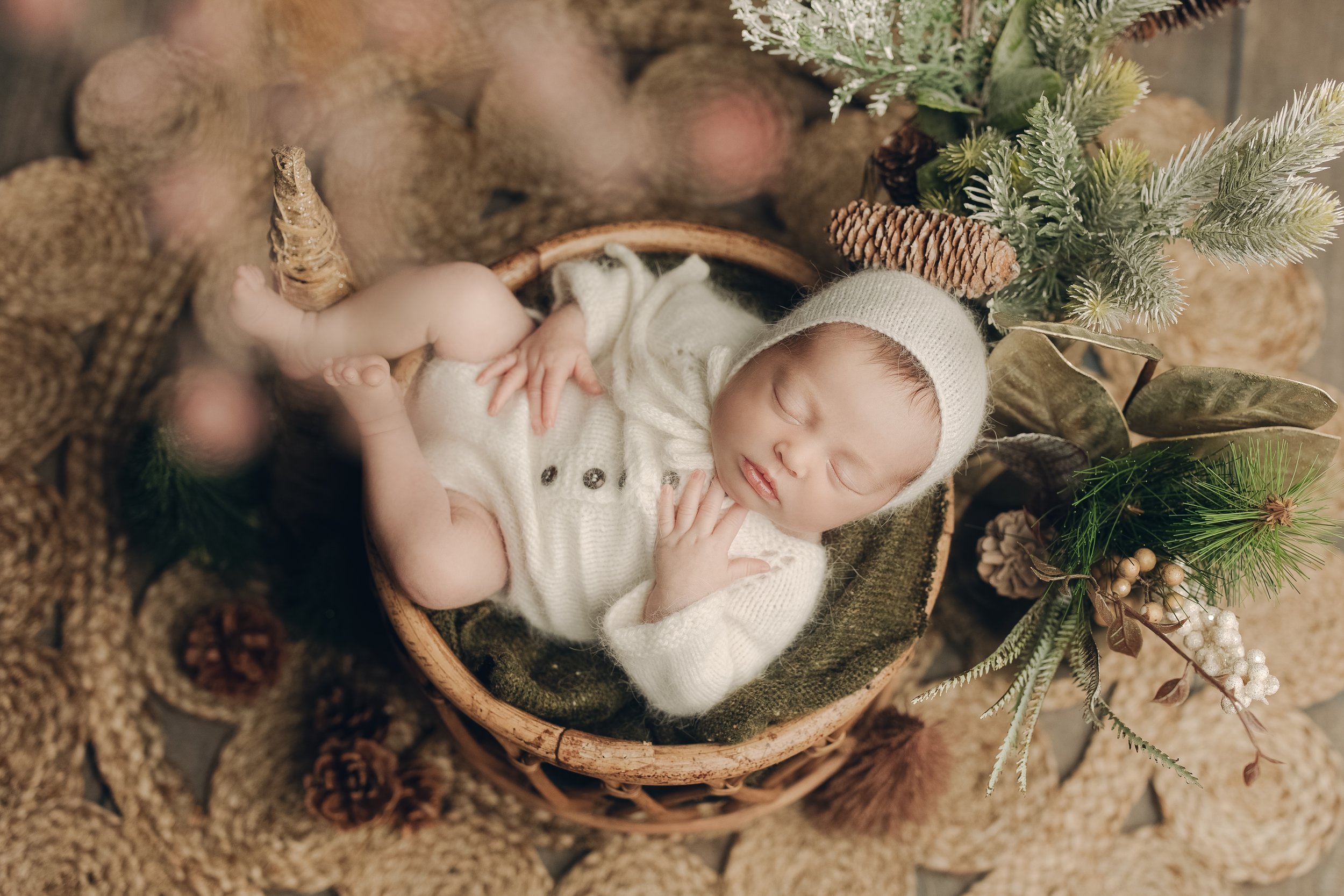 Baby_Girl_Studio_Milestone_Session_Winter_Christmas_Baby_Holiday_Pinecones_by_Newborn_Photographer_Christie_Leigh_Photo_in_Youngstown_Ohio_OH_Mahoning_Valley-1.jpg