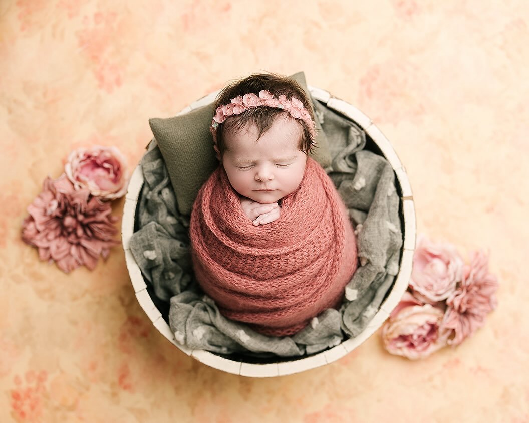 A baby girl gallery with a sprinkle of big brother 💕

Here&rsquo;s to celebrating one month of baby Josie!

Ohio newborn photographer, studio, wrapping, posing, northeast, Akron, Warren, Cleveland, Youngstown, Pennsylvania, baby, babies, siblings