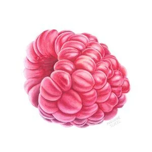 raspberry.jpeg